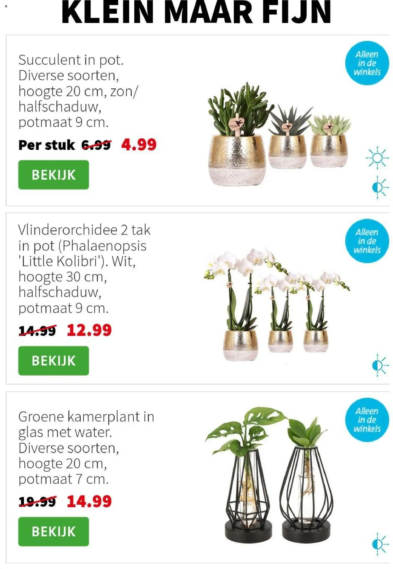 {H1} | Pagina: 4 | Producten: Pot