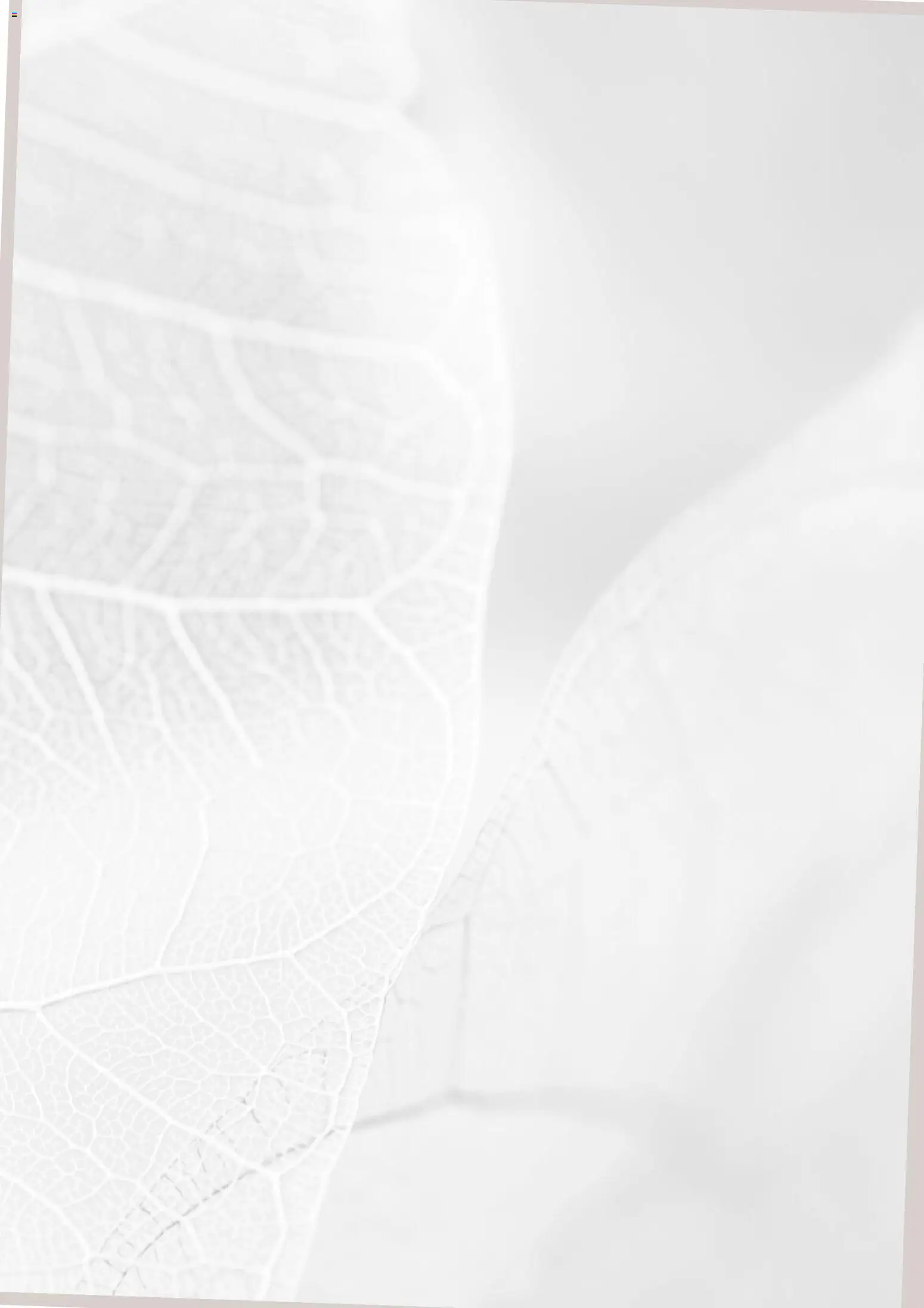 Noul catalog Proges – valabil de la 01.10.2025 | Pagină: 2