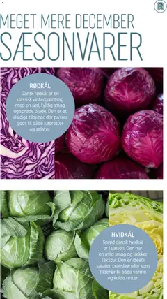 HVIDKÅL, Sprød dansk hvidkål er i sæson. Den har en mild smag og lækker tekstur. Den er ideel i salater, coleslaw eller som tilbehør til både varme og kolde retter. gyldig fra 01.12.2025 | Side: 3