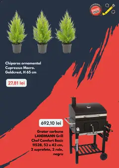 Ofertele Brico Depot valabile de la 19.03.2026 | Pagină: 3 | Produse: Grill, Grătar
