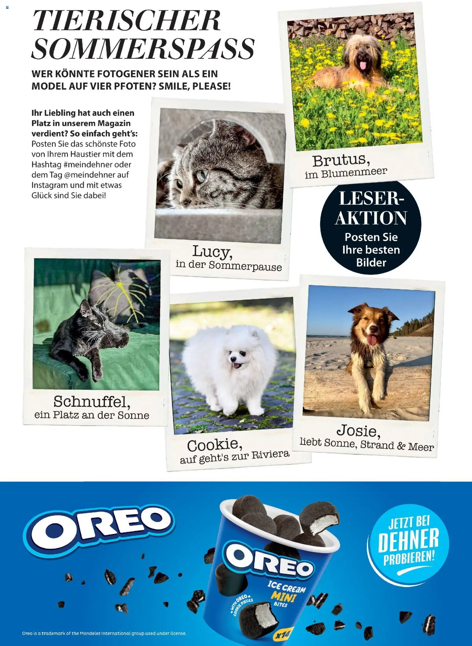 Dehner Flugblatt gültig ab 01.05.2026 | Seite: 97