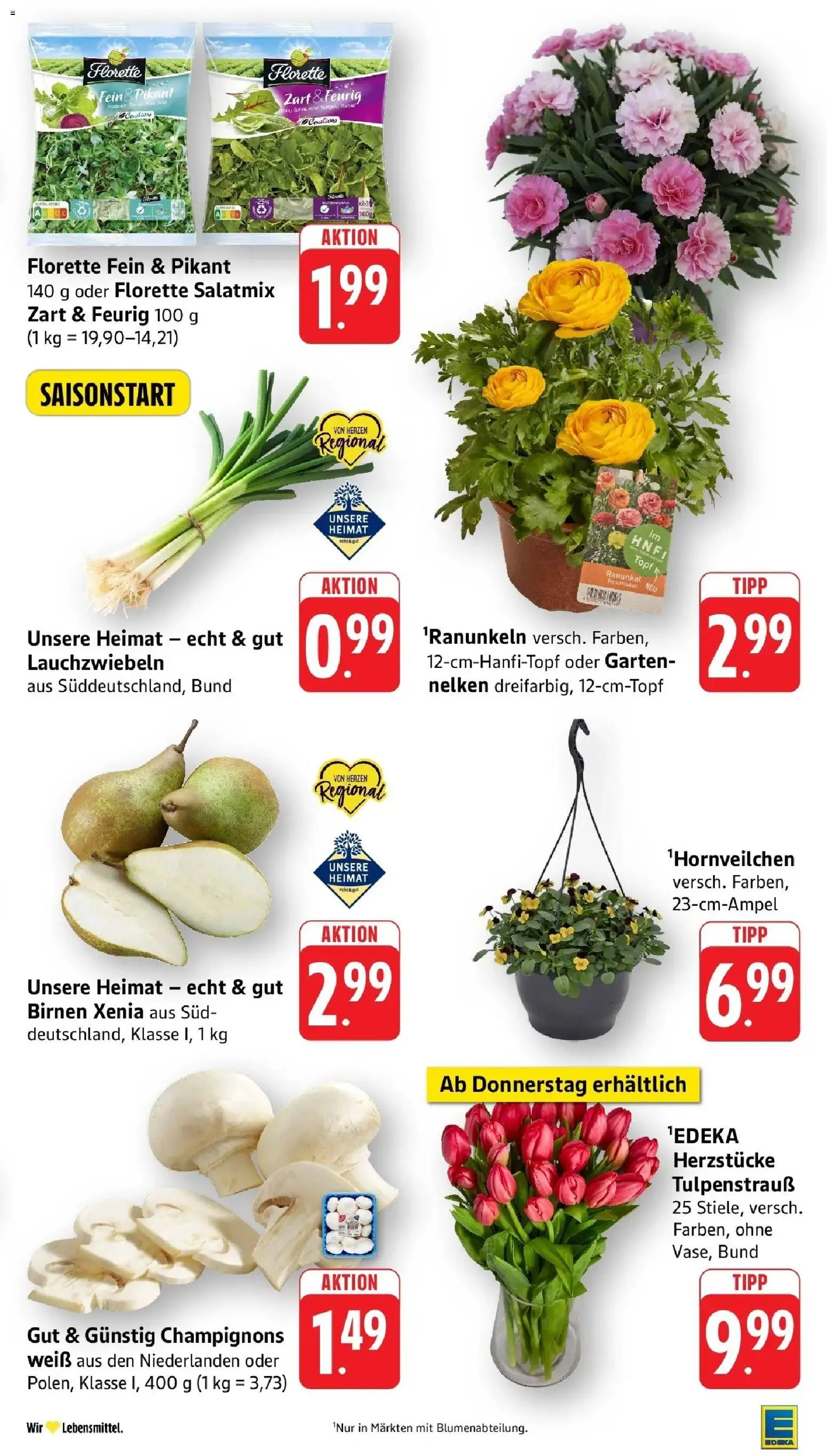 Edeka prospekt Bad Camberg	 – gültig ab 09.03.2026 | Seite: 5 | Produkte: Champignons