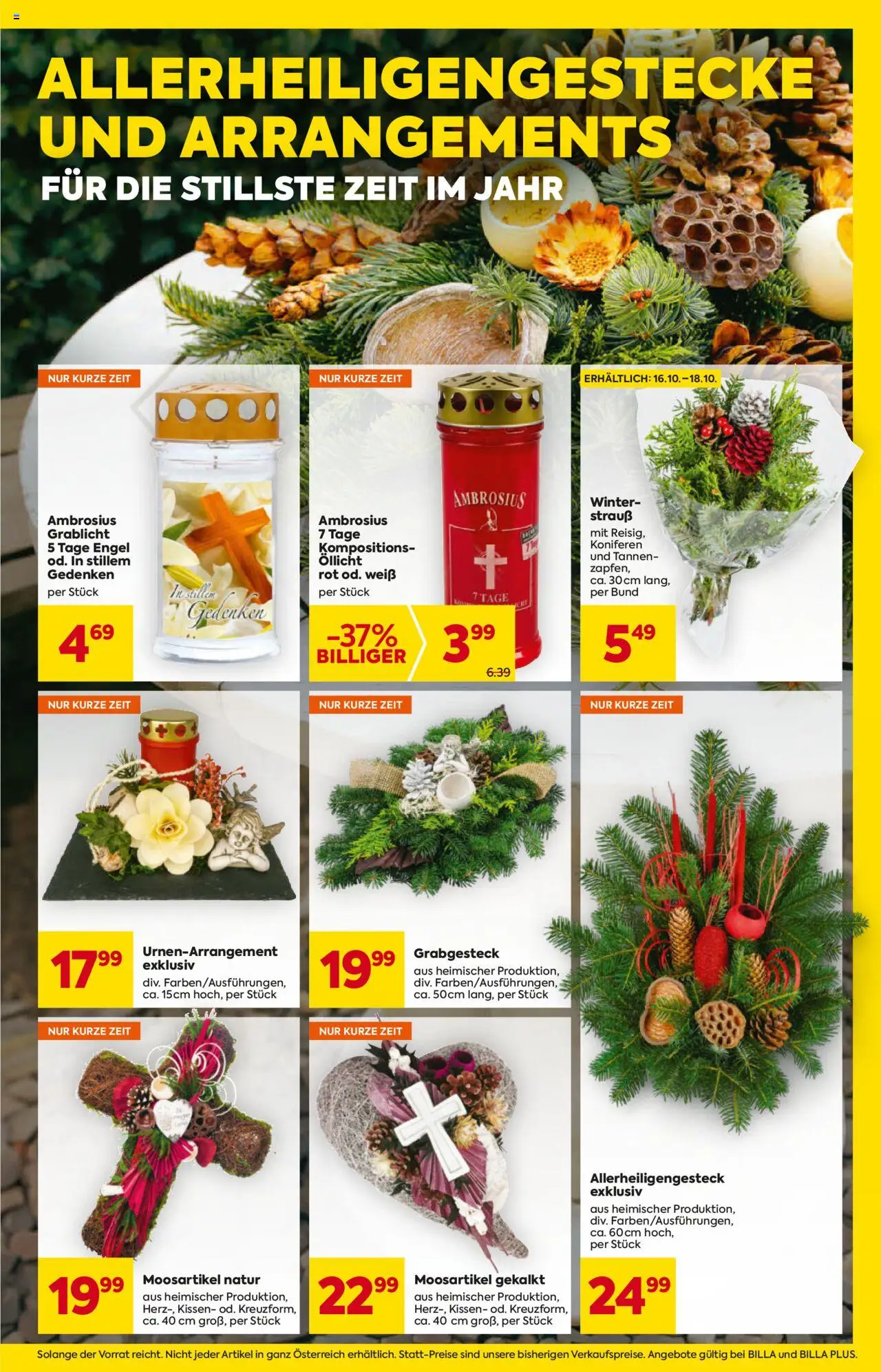 Billa Flugblatt gültig ab 16.10.2025 | Seite: 11 | Produkte: Kissen