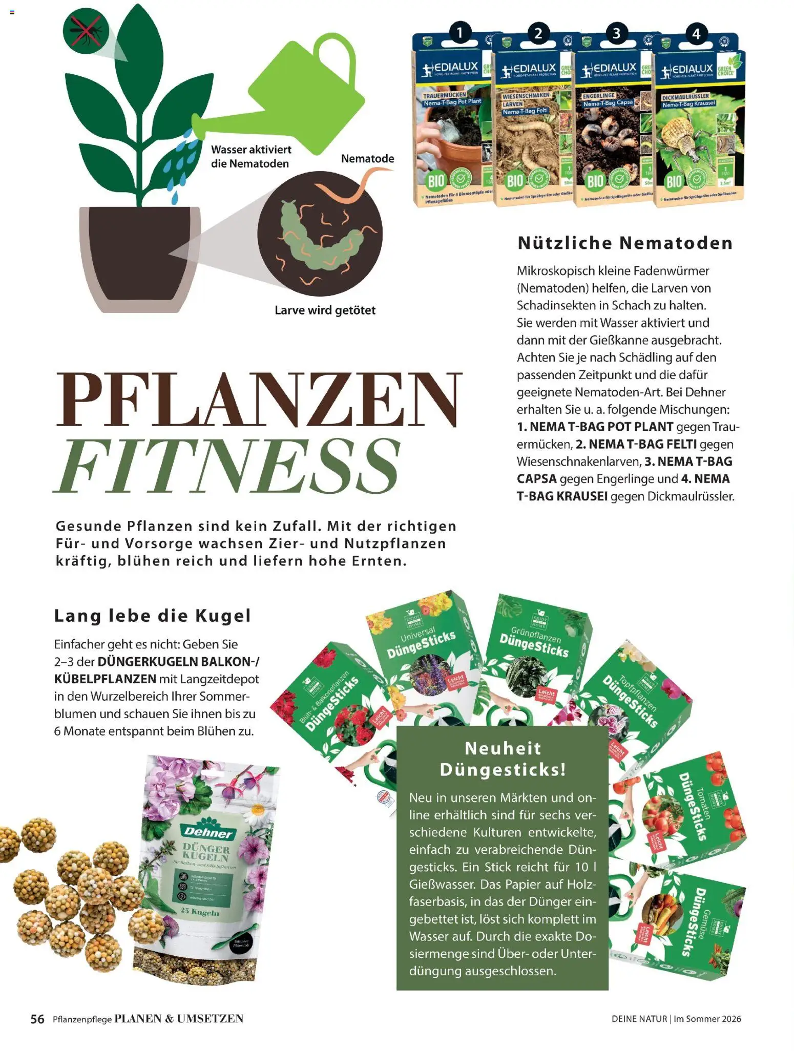 Dehner Prospekt 	 – gültig ab 17.04.2026 | Seite: 56 | Produkte: Blumen, Tomaten, Wasser, Gemüse