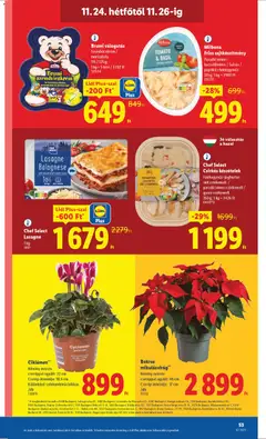 Lidl Black Friday - amely érvényes a következő dátumtól: 20.11.2025 | Oldal: 53