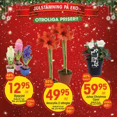 EKO - erbjudanden - Förhandsvisning av reklamblad från butik EKO aktuell från 10.11.2025