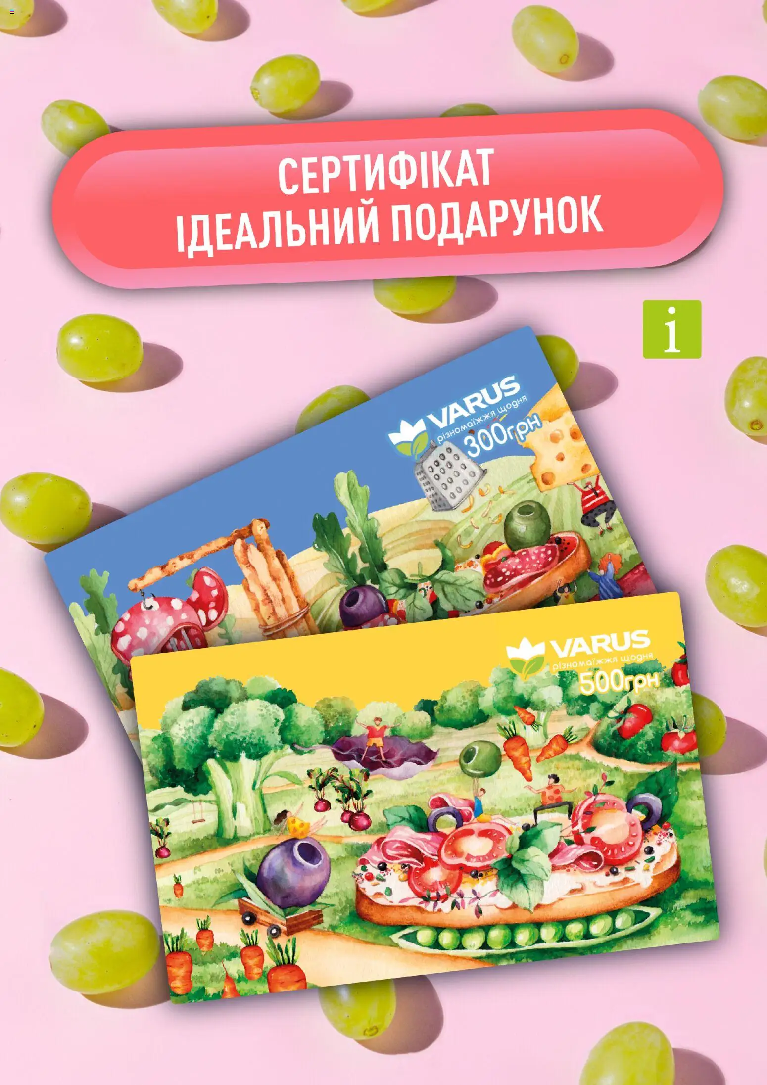 VARUS Kаталог - дійснийкції з 06.01.2026 | Сторінка: 3