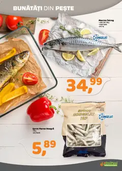 Ofertele LaDoiPași valabile de la 16.03.2026 | Pagină: 5 | Produse: Pește