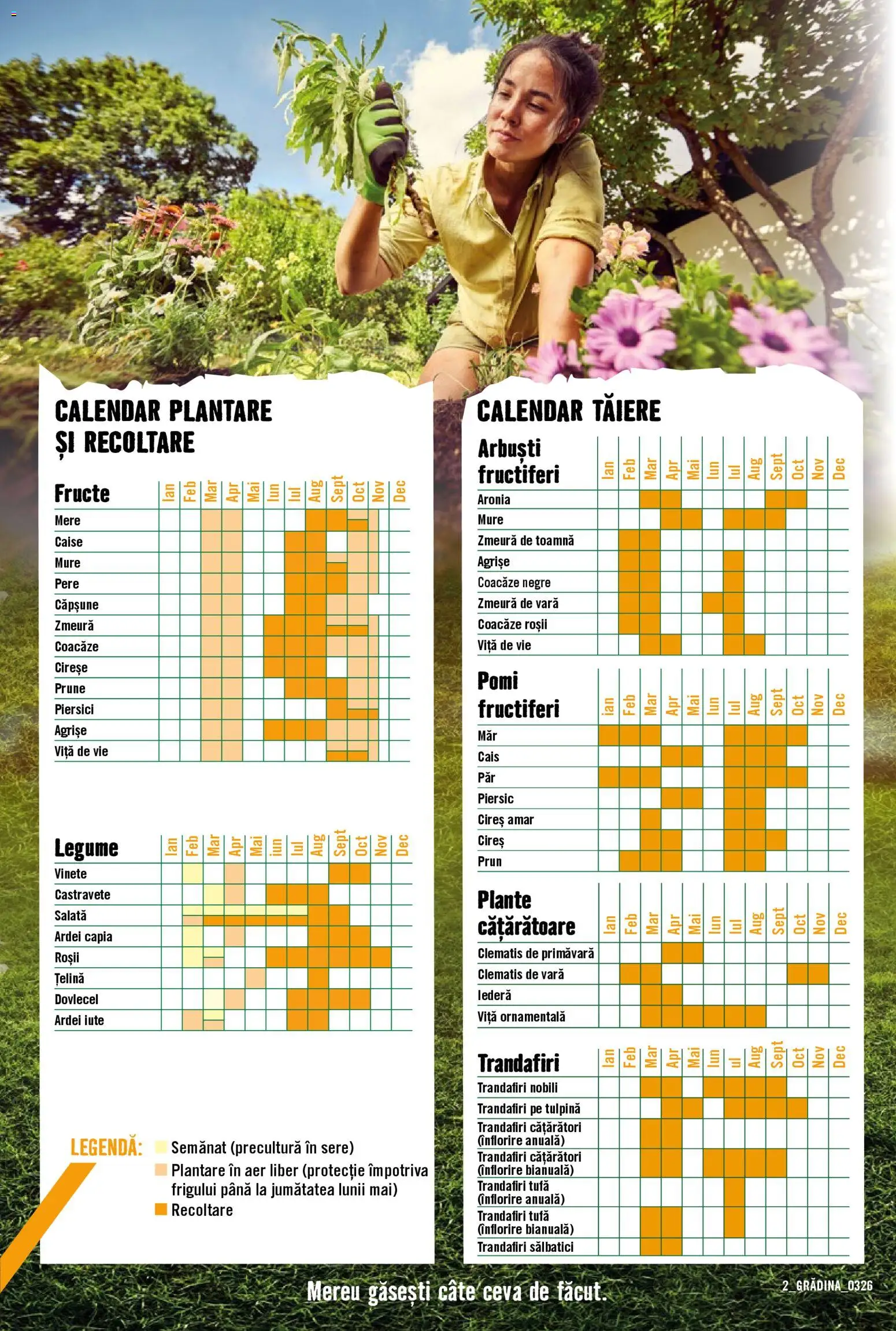 Noul catalog Hornbach – valabil de la 23.03.2026 | Pagină: 2 | Produse: Zmeură, Salată, Ahtapot, Legume
