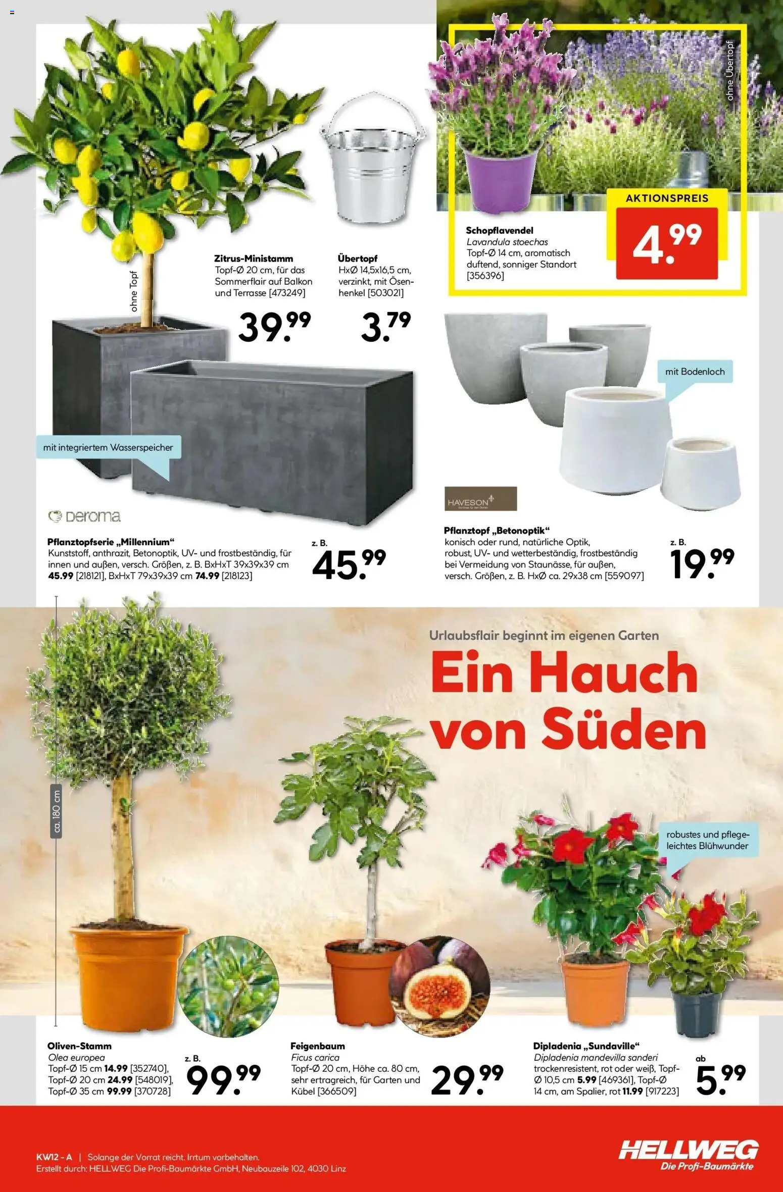 HELLWEG Graz	 gültig ab 19.03.2026 | Seite: 15