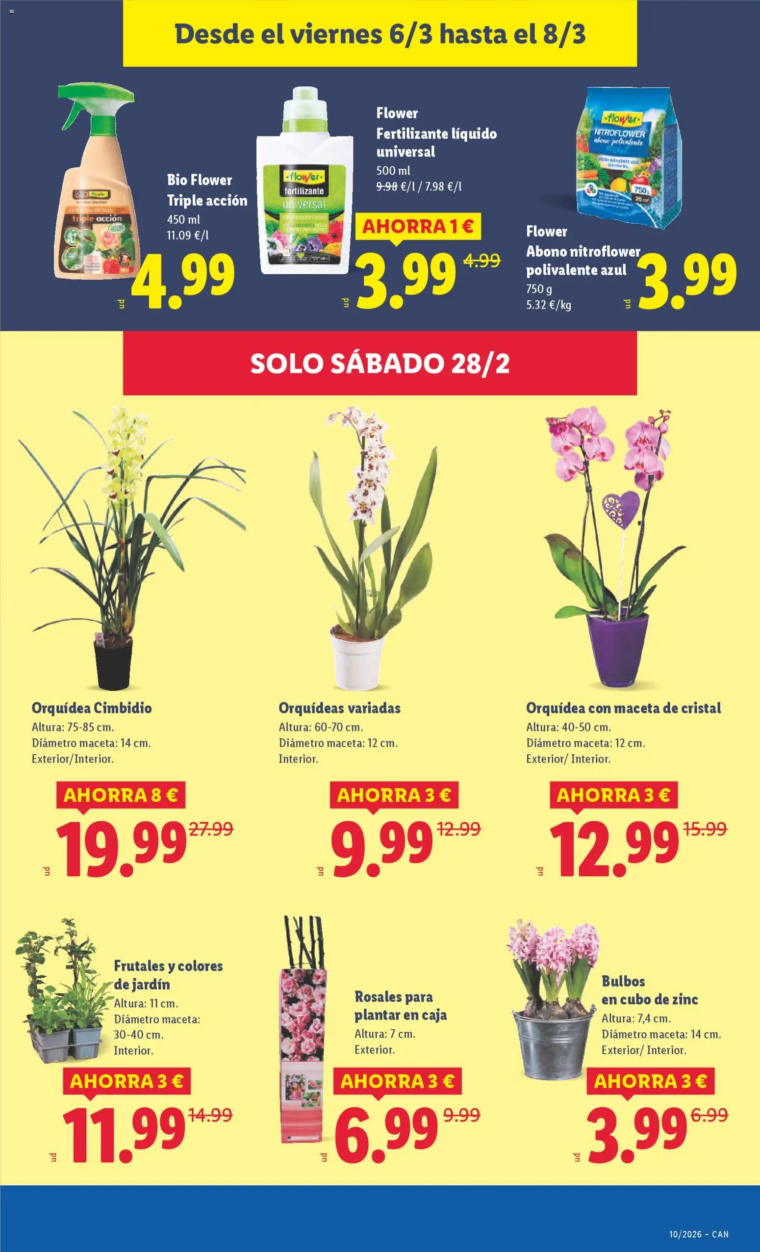Lidl folleto │ válido desde el 02.03.2026 | Página: 51 | Productos: Caja, Maceta