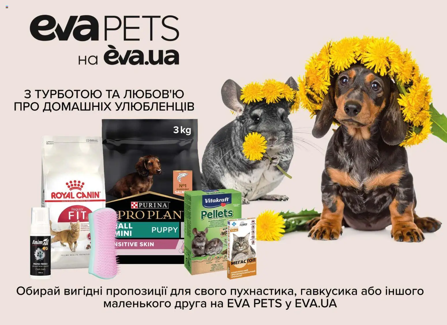 Eva Kаталог - дійснийкції з 02.04.2026 | Сторінка: 44