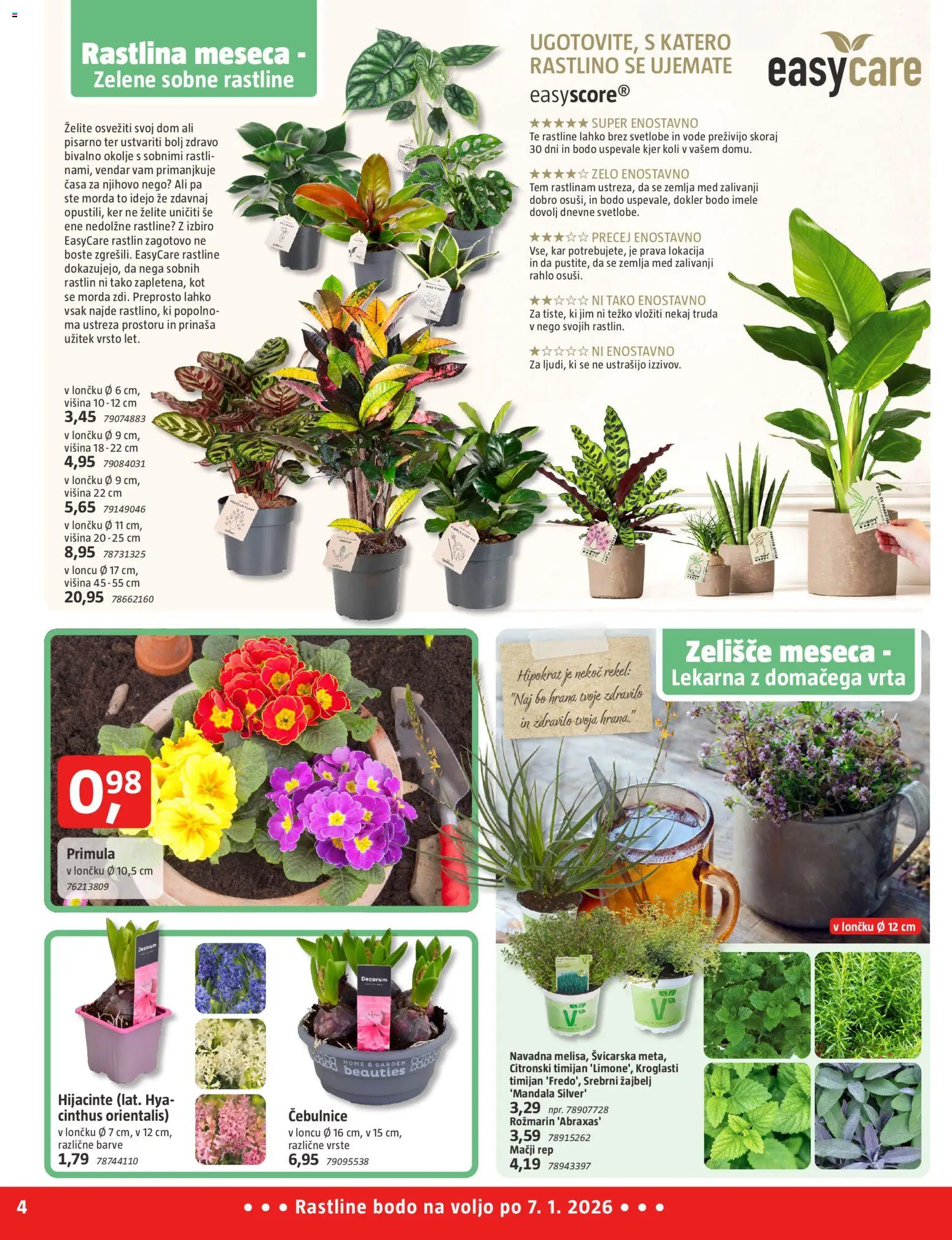 Novi Bauhaus katalog ponudbe – veljaven od 01.01.2026 | Stran: 4 | Izdelki: Žemlja