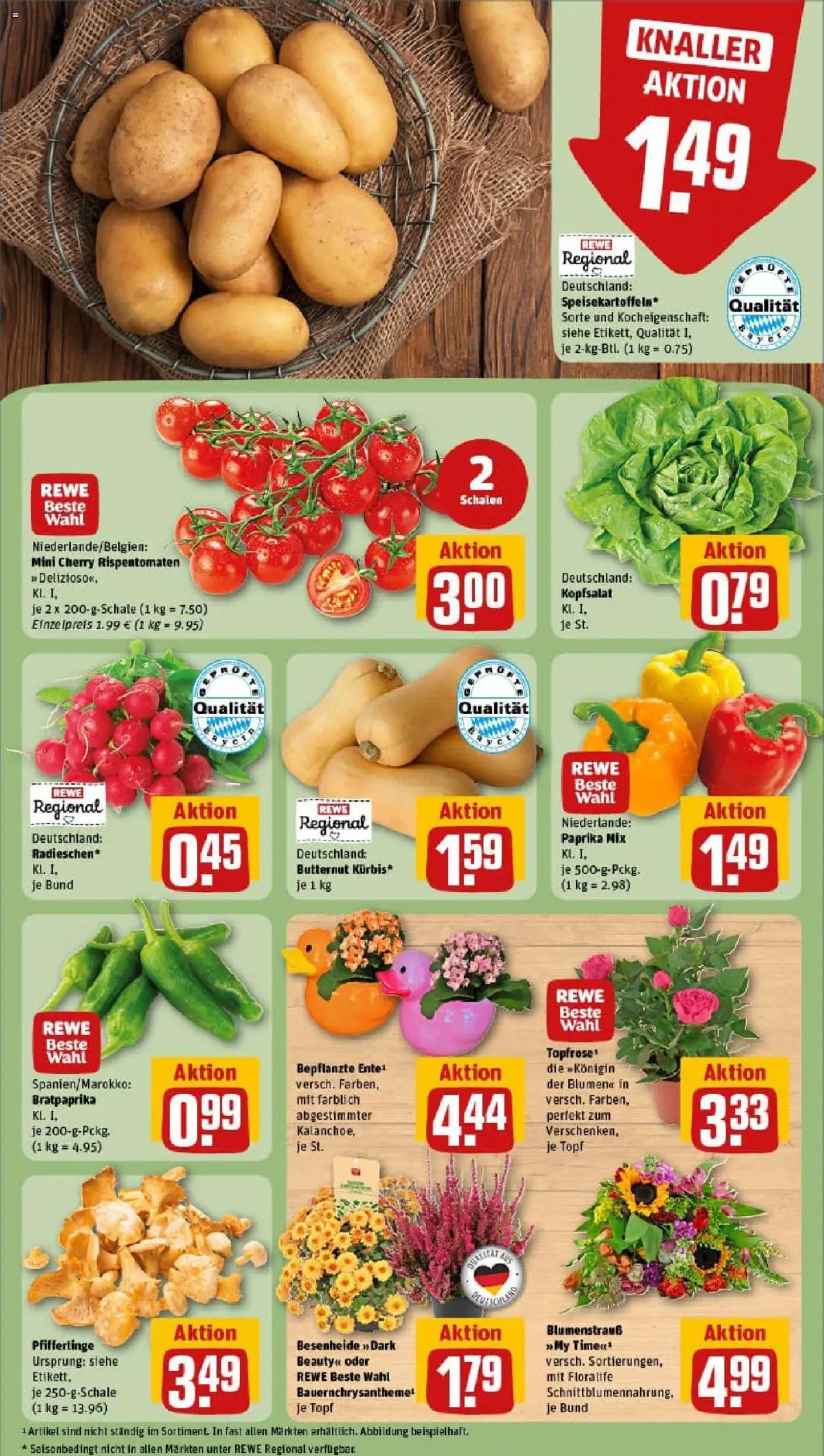 Rewe prospekt Bad Rodach	 – gültig ab 01.09.2025 | Seite: 9 | Produkte: Blumen, Paprika, Pfifferlinge