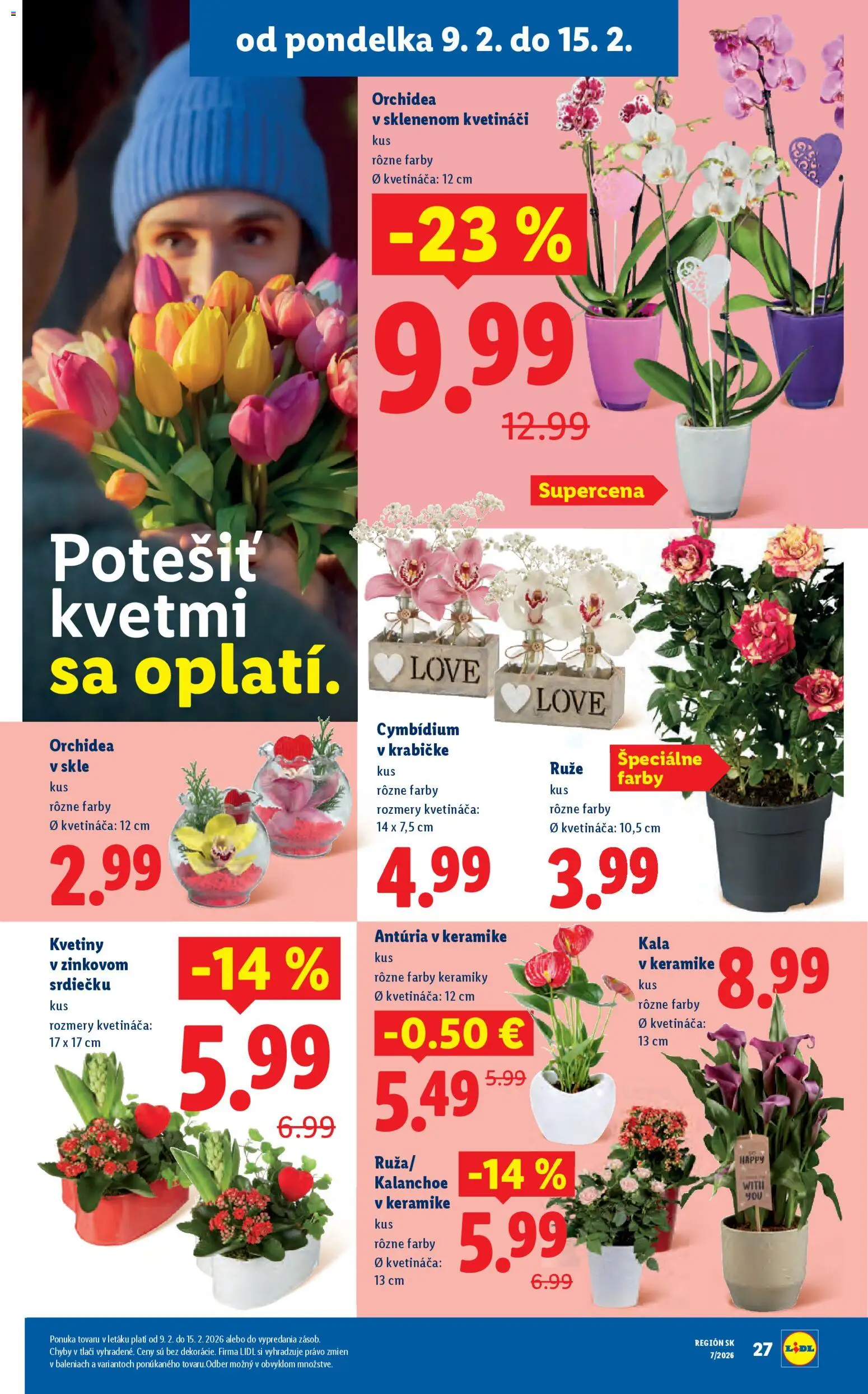 Nové Lidl akcie – leták je platný od 12.02.2026 | Strana: 79 | Produkty: Ruže, Orchidea