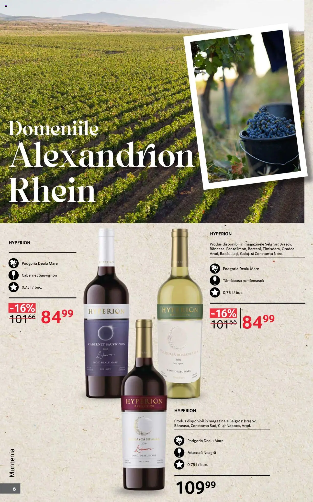 Noul catalog Selgros – valabil de la 01.10.2025 | Pagină: 6