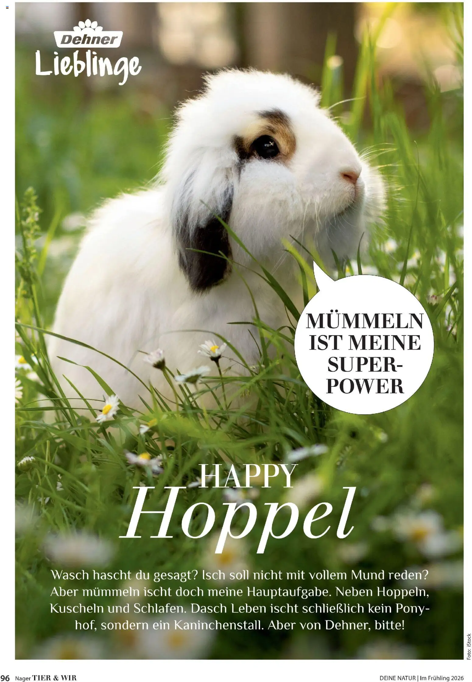 Dehner Flugblatt gültig ab 05.03.2026 | Seite: 96