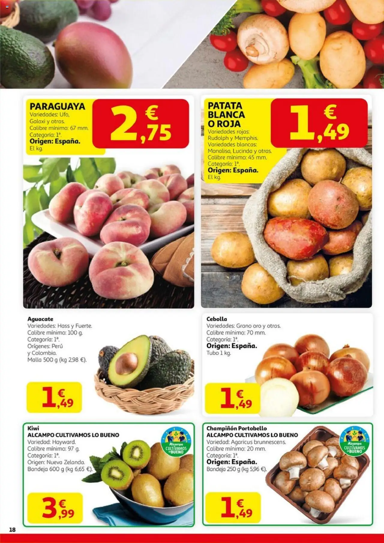 Alcampo - HP Nacional  │ válido desde el 14.08.2025 | Página: 18 | Productos: Kiwi, Παγωμένο τσάι, Bandeja