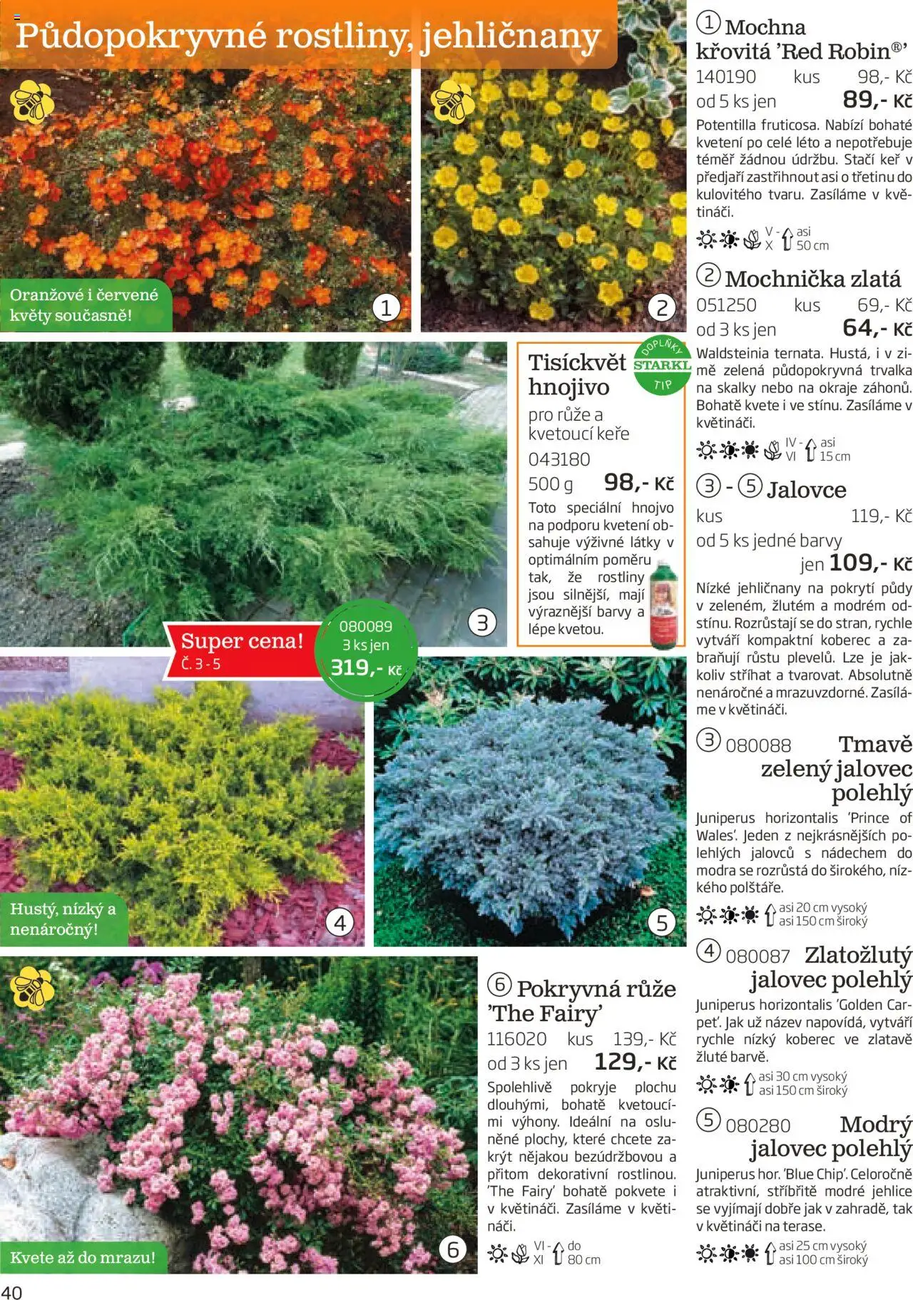 Starkl katalog podzim 2025 od 01.08.2025 | Strana: 40 | Produkty: Rostliny, Hnojivo, Koberec, Barvy