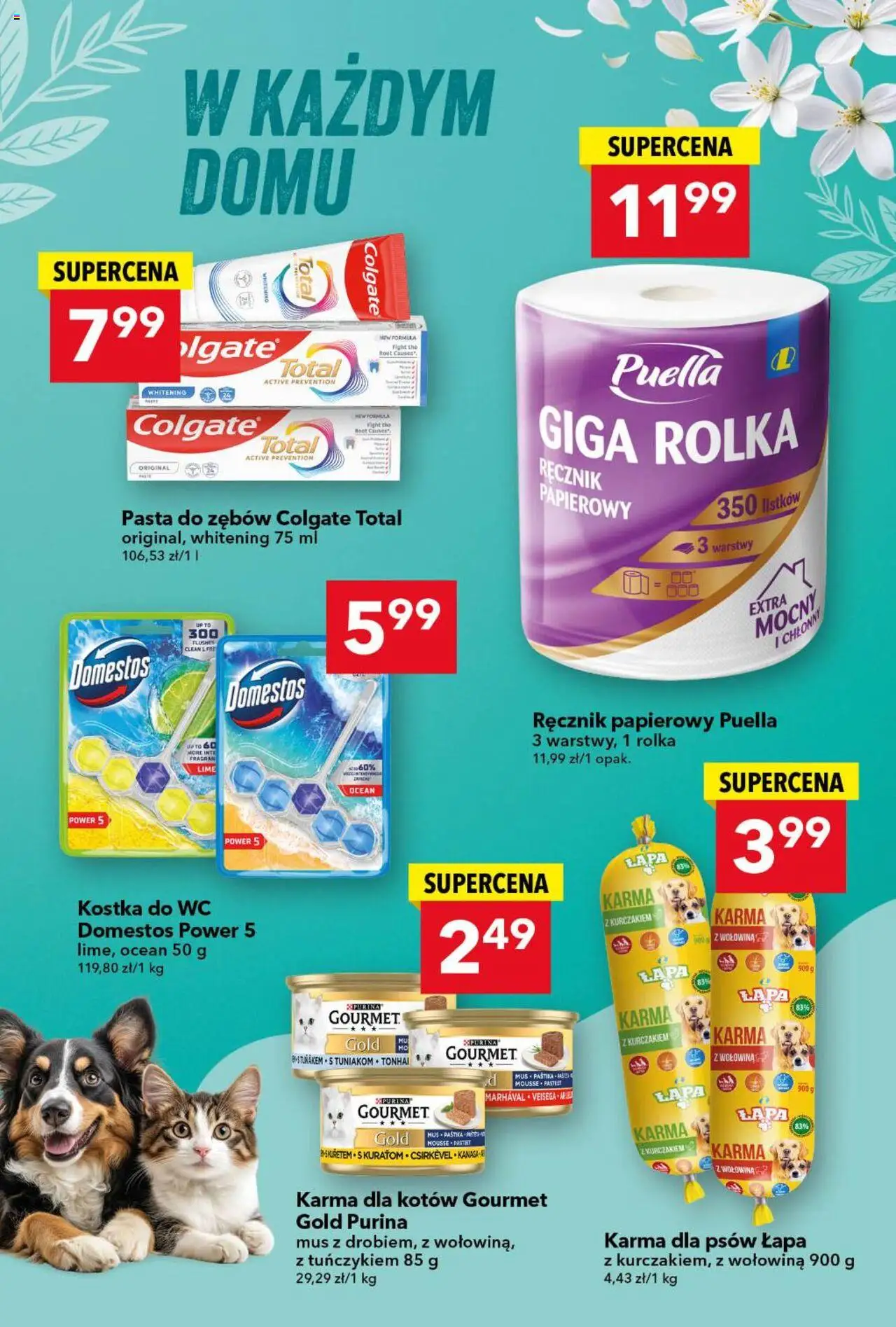Lewiatan gazetka od 13.08.2025 | Strona: 13 | Produkty: Karma dla kotów, Pasta do zębów, Karma dla psów, Ręcznik papierowy
