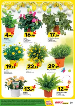 Pogląd oferty "Brico Marché gazetka" - ważna od 25.03.2026 | Strona: 5