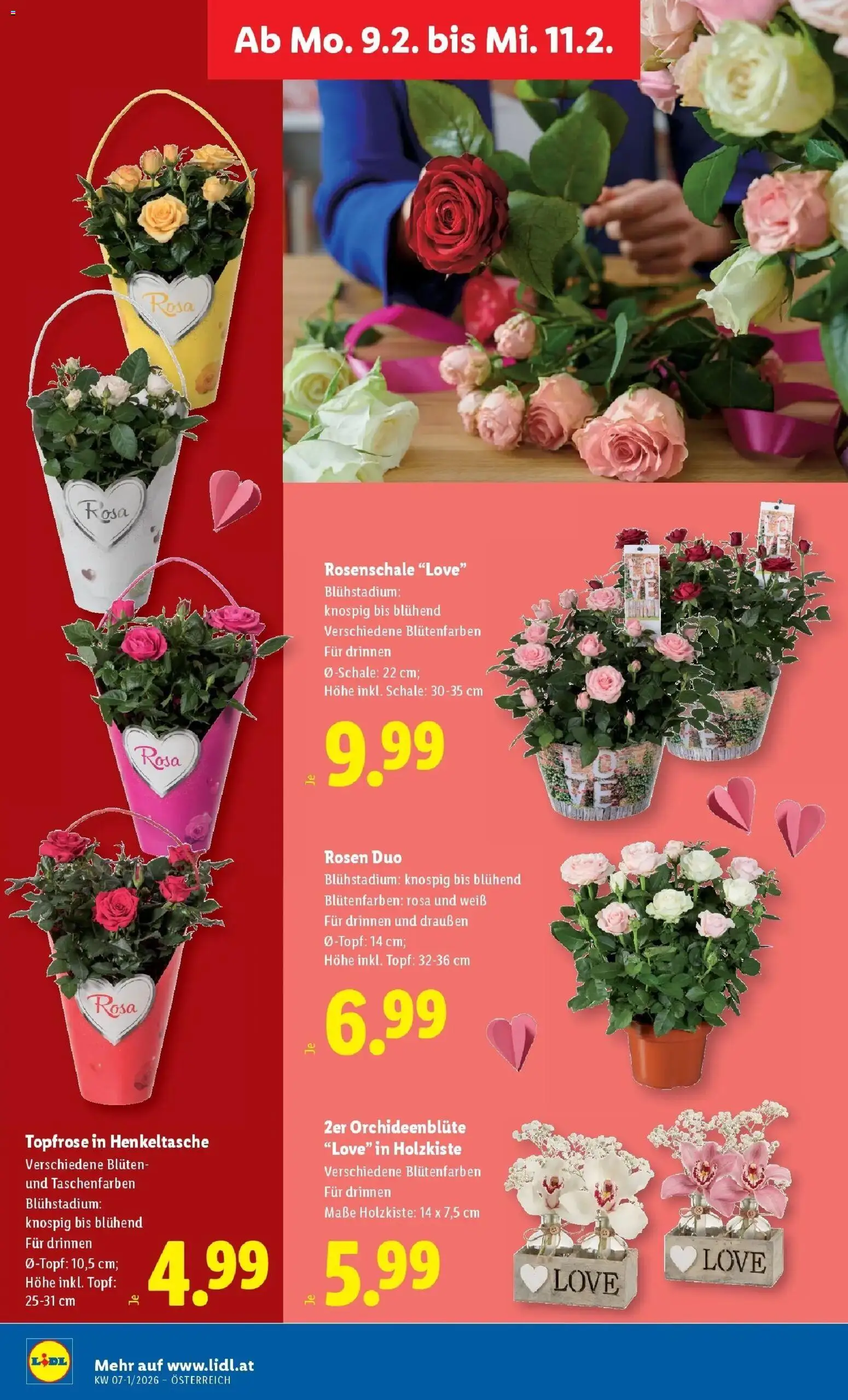 Lidl Flugblatt - Wien, Langenzersdorf, Zwettl gültig ab 05.02.2026 | Seite: 30