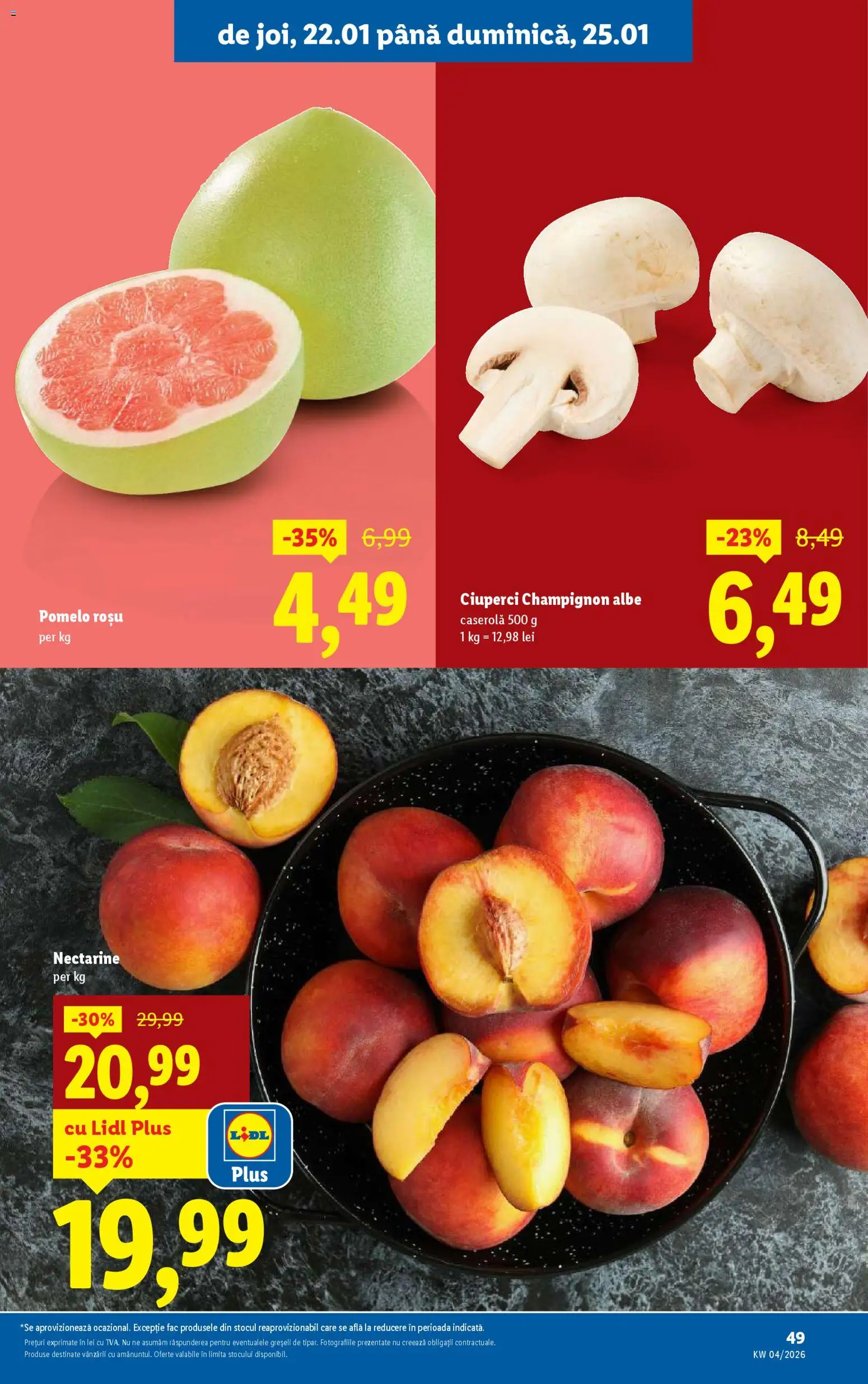 Noul catalog Lidl – valabil de la 19.01.2026 | Pagină: 49 | Produse: Temizlik kovası, Ciuperci