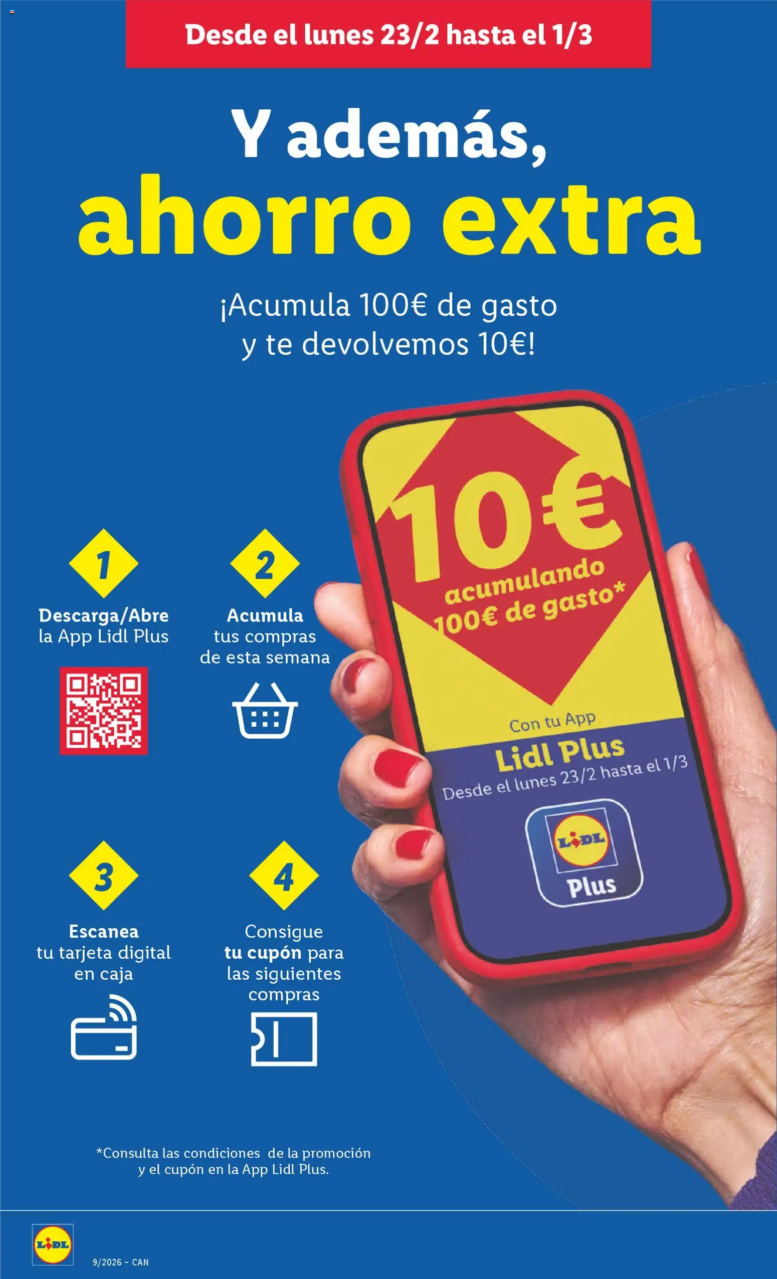 Lidl - Canarias │ válido desde el 23.02.2026 | Página: 12 | Productos: Té, Caja