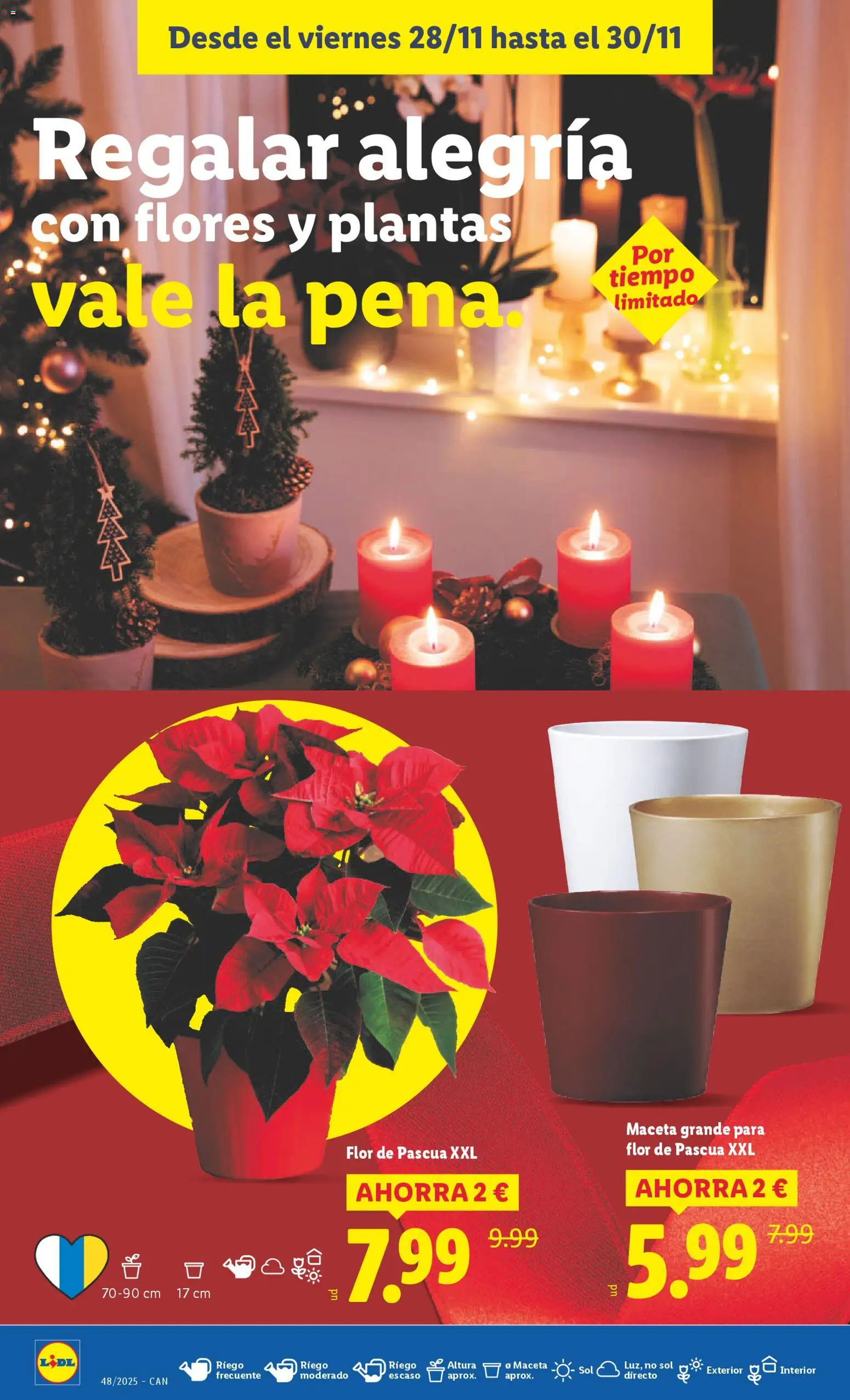 Lidl - Canarias  │ válido desde el 24.11.2025 | Página: 42 | Productos: Maceta