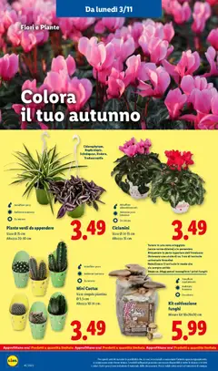 Anteprima del volantino Volantino Lidl	 valido a partire dal 03.11.2025 | Pagina: 42