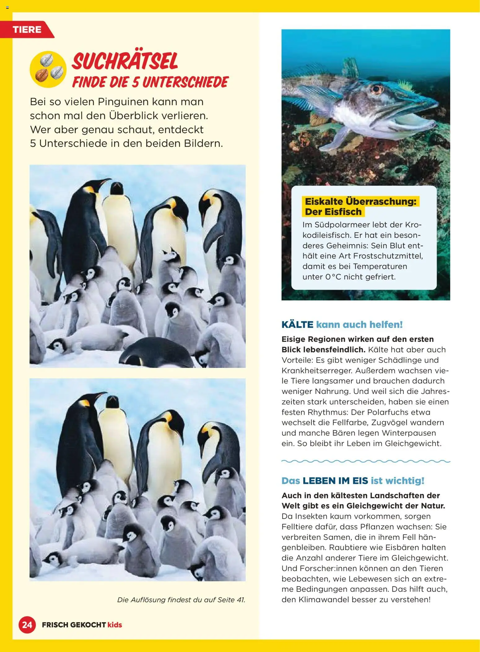 Billa AT akciós ujság - amely érvényes a következő dátumtól: 01.12.2025 | Oldal: 24 | Termékek: Só