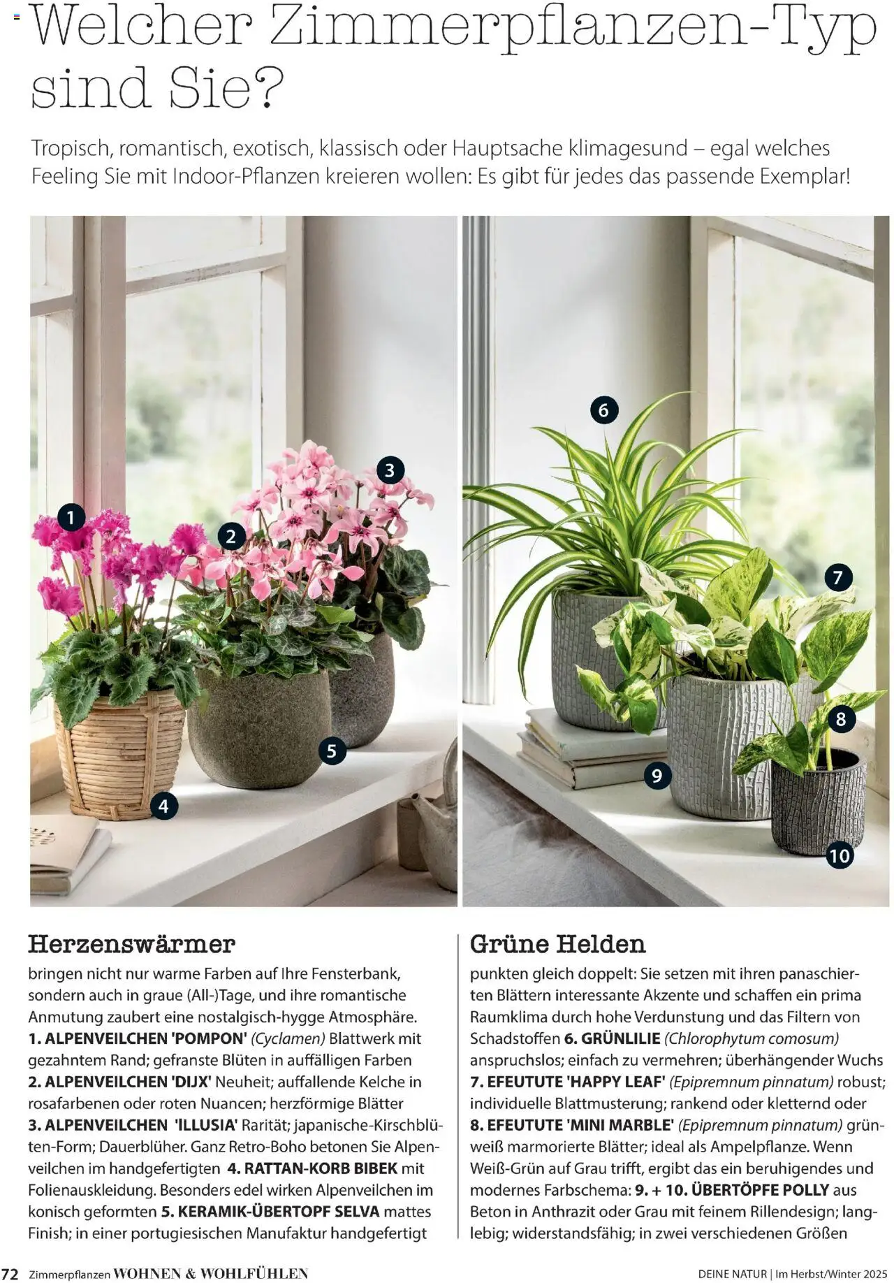 Dehner Prospekt Deine Natur – gültig ab 09.10.2025 | Seite: 72