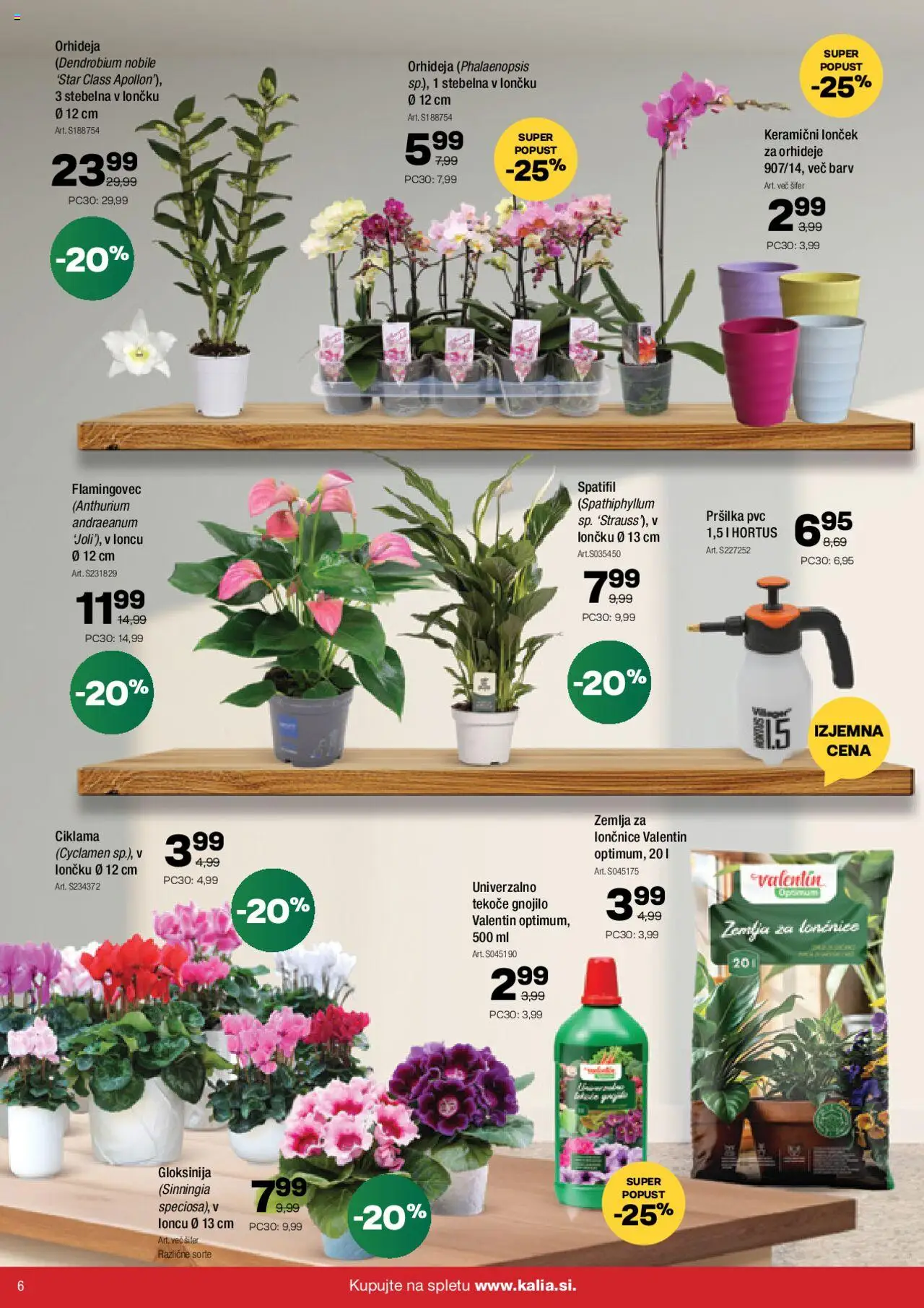 Novi Kalia katalog ponudbe – veljaven od 22.09.2025 | Stran: 6 | Izdelki: Žemlja, Lončnice