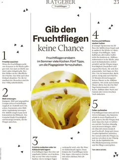 Früchte zudecken oder im Kühlschrank lagern, Fruchtfliegen legen ihre Eier auf angefaulte Stellen von Früchten. Nur so viel Obst oder Gemüse kaufen, wie in wenigen Tagen verbraucht wird, oder die Ware im Kühlschrank lagern. ab 18.08.2025 | Seite: 23