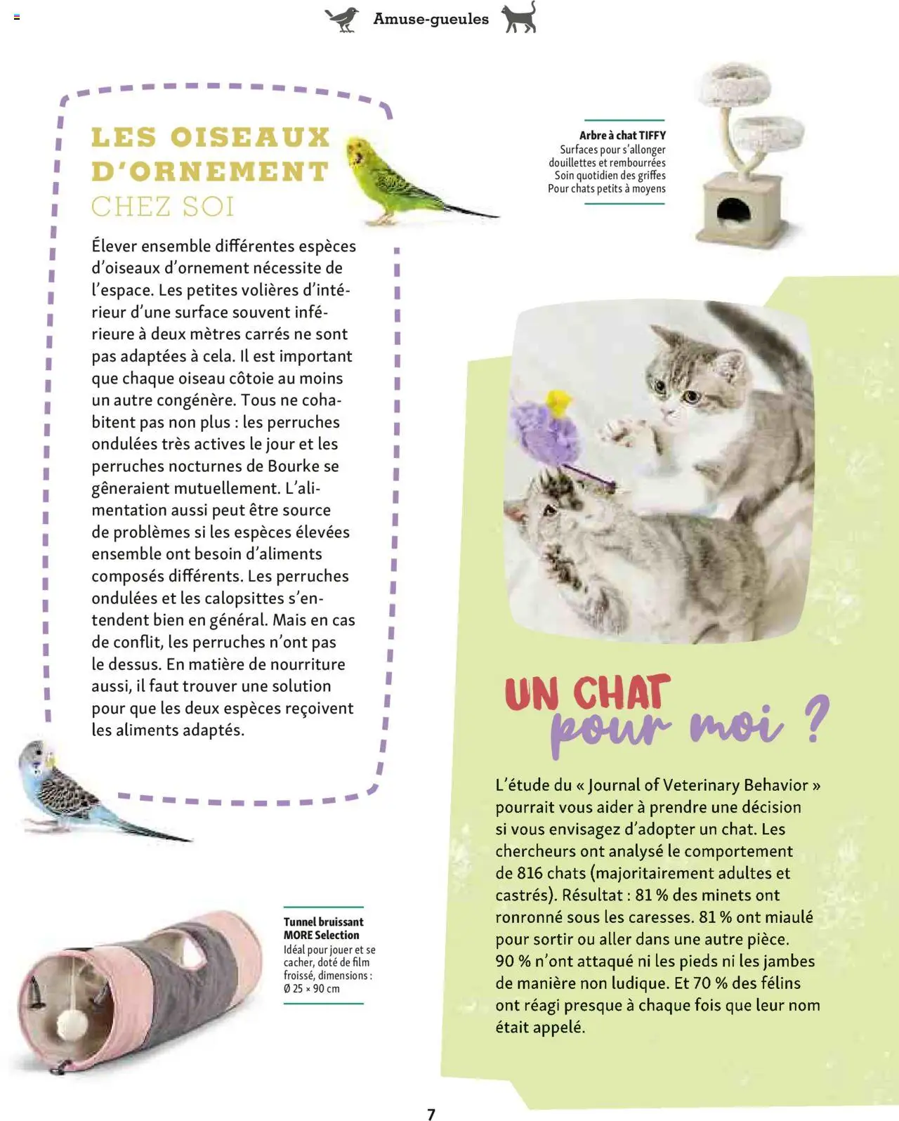  | Page: 7 | Produits: Mais, Arbre à chat