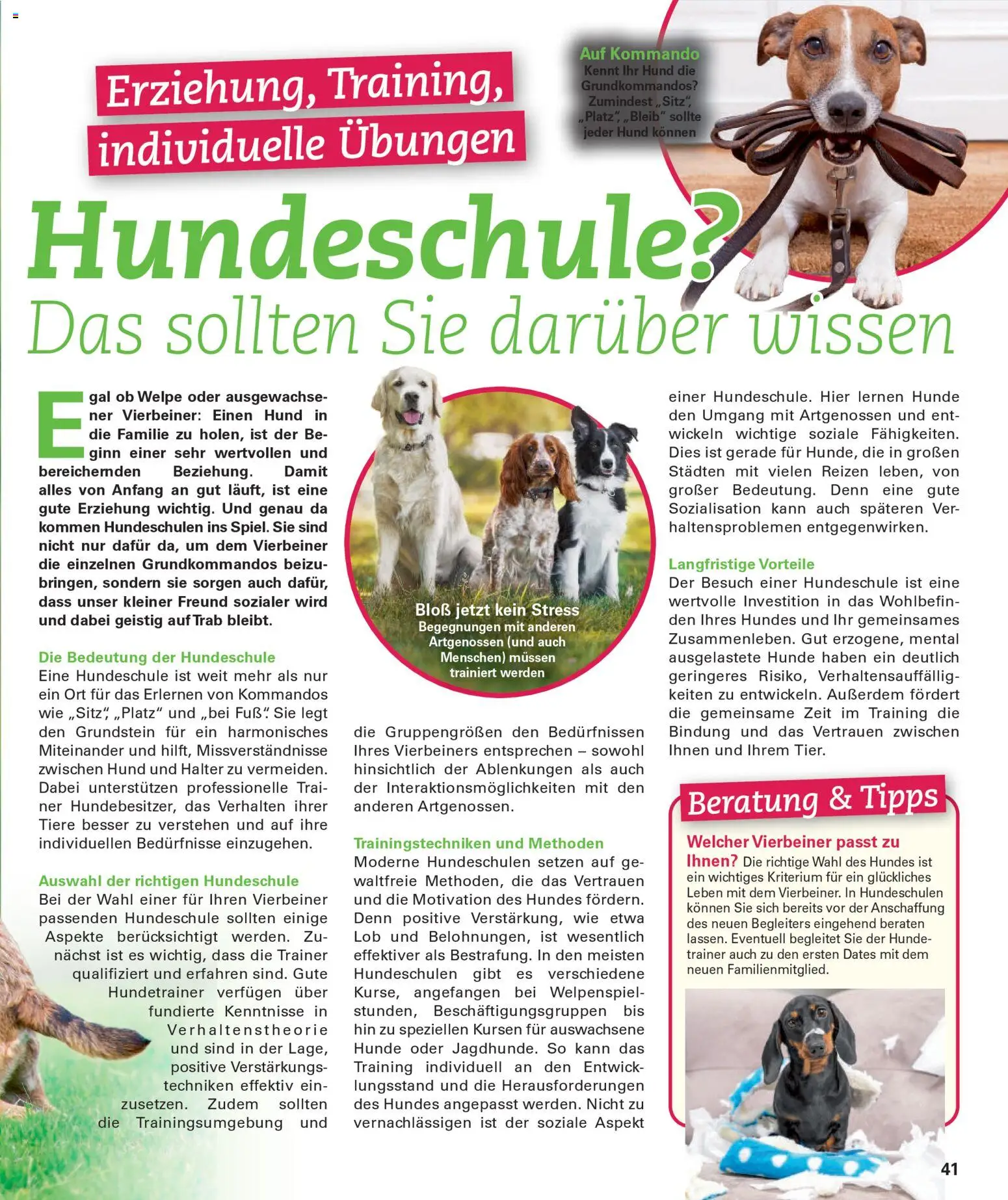 Poco Prospekt Wohnwelt Frühling 2026 – gültig ab 16.02.2026 | Seite: 41