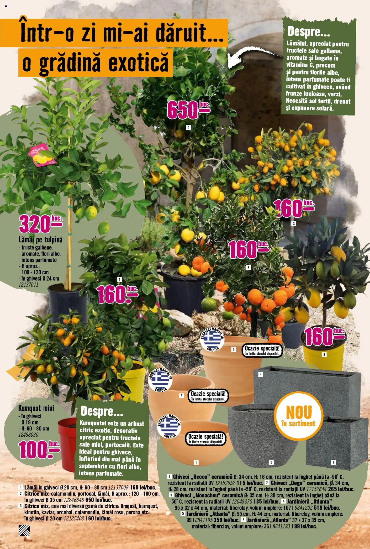 Noul catalog Hornbach – valabil de la 23.03.2026 | Pagină: 14 | Produse: Ghiveci, Fructe