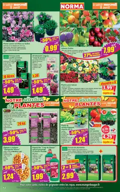 Norma - Prévisualisation de Norma catalogue valide à partir de 08.04.2026 | Page: 13 | Produits: Orange, Sac, Terreau, Paillis d'ardoise