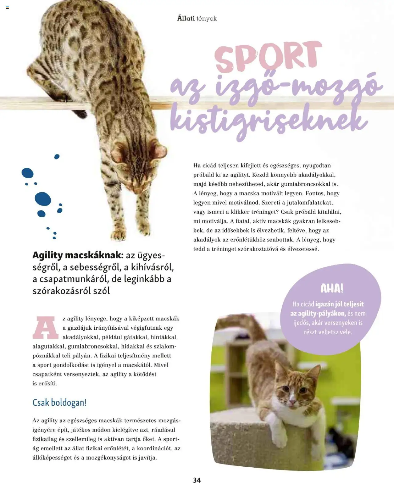Fressnapf akciós ujság - amely érvényes a következő dátumtól: 05.05.2025 | Oldal: 34