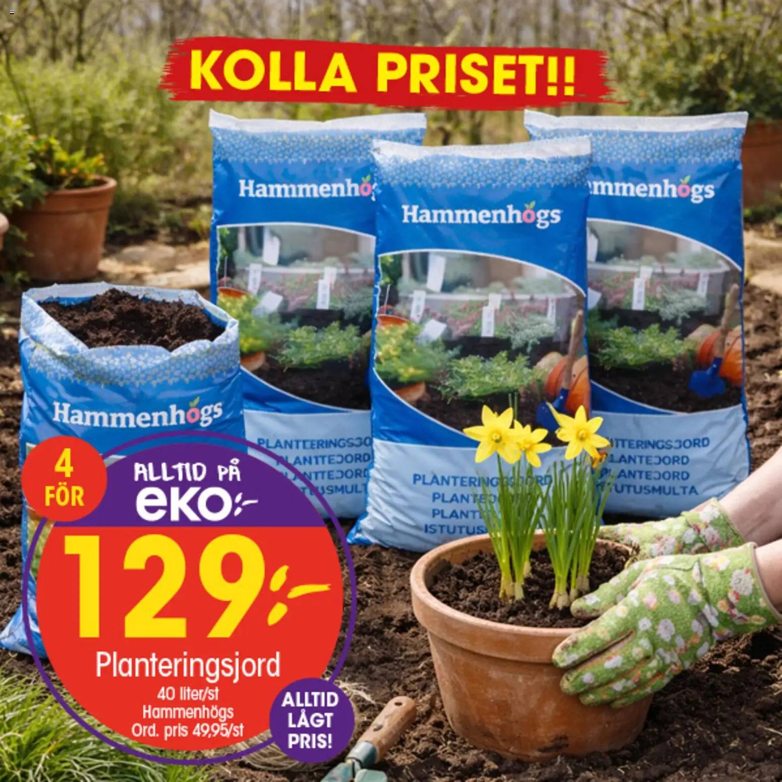 EKO reklamblad aktuell från 09.03.2026 | Sida: 10 | Produkter: Planteringsjord