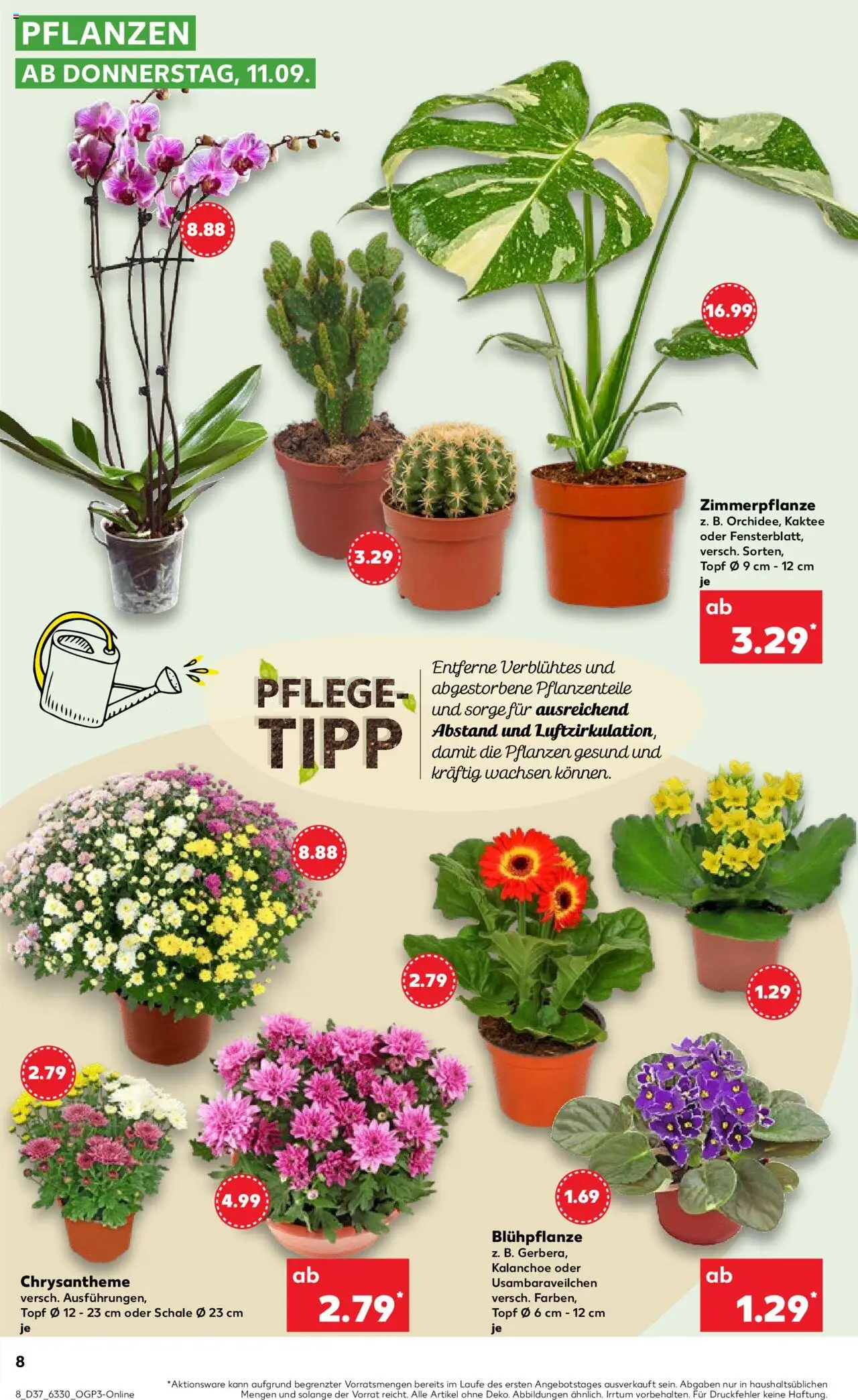 Kaufland prospekt Kiel	 – gültig ab 14.09.2025 | Seite: 8