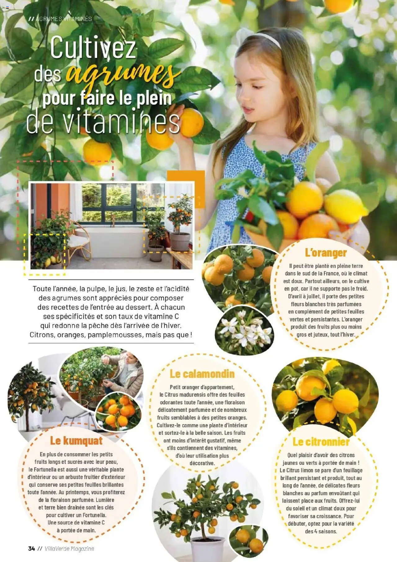  | Page: 34 | Produits: Parfum, Mais, Porte, Magazine