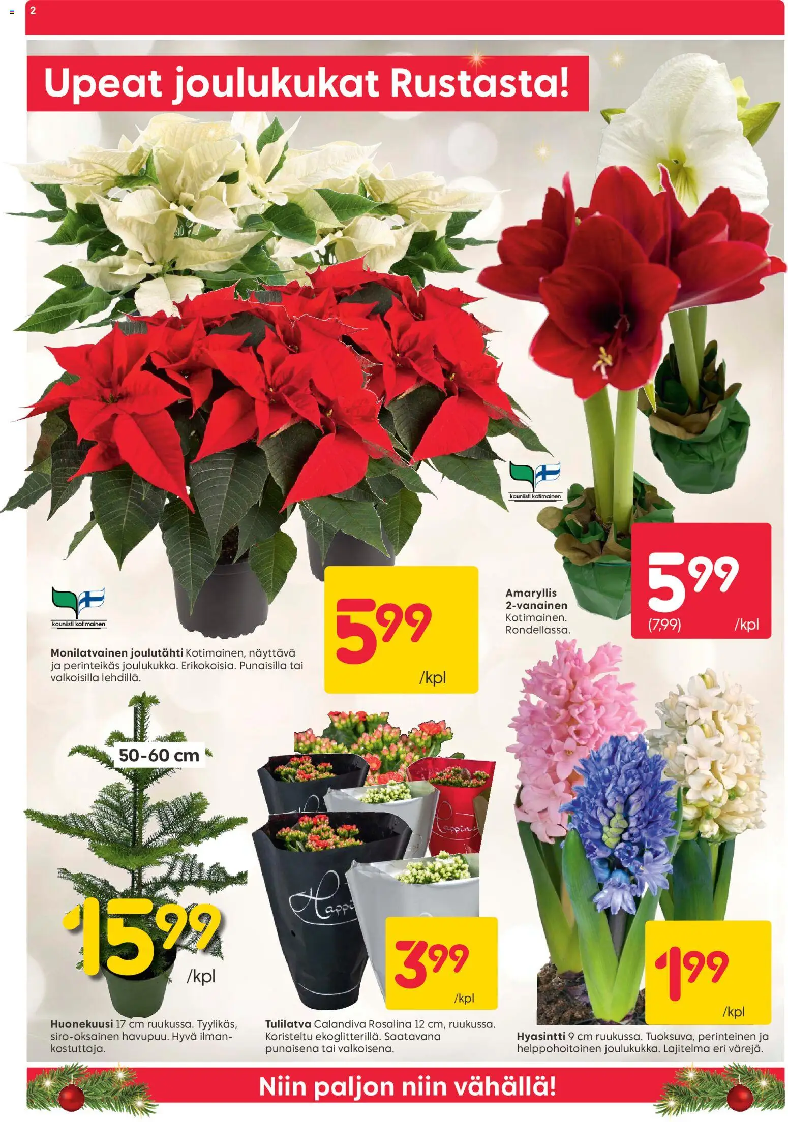 Rusta tarjoukset – voimassa 01.12.2025 alkaen | Sivu: 2