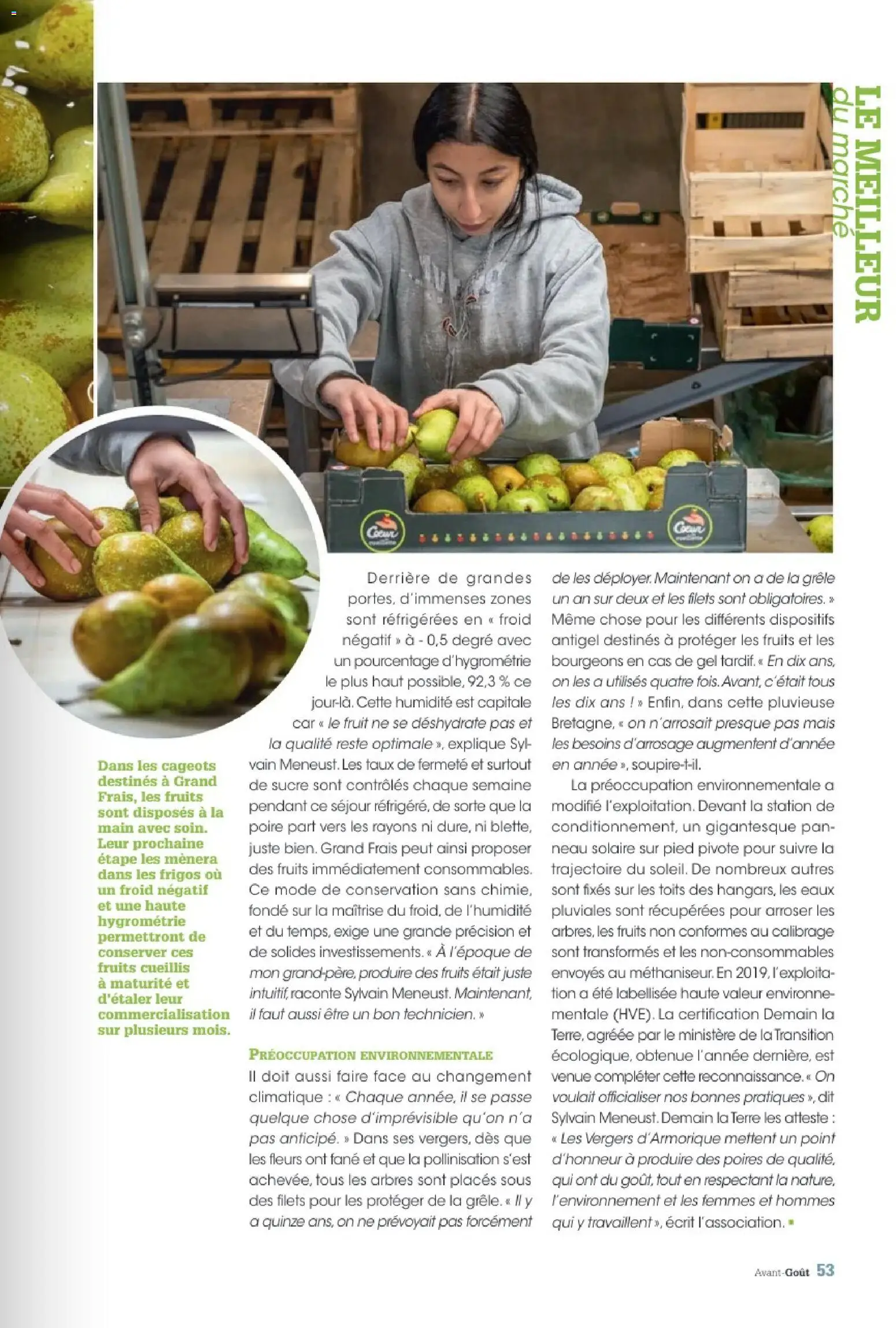 {H1} | Page: 53 | Produits: Sucre, Poire, Mais