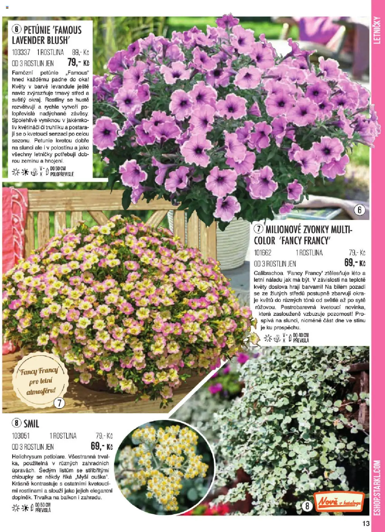 Starkl katalog jaro 2024 od 06.01.2025 | Strana: 13 | Produkty: Rostliny