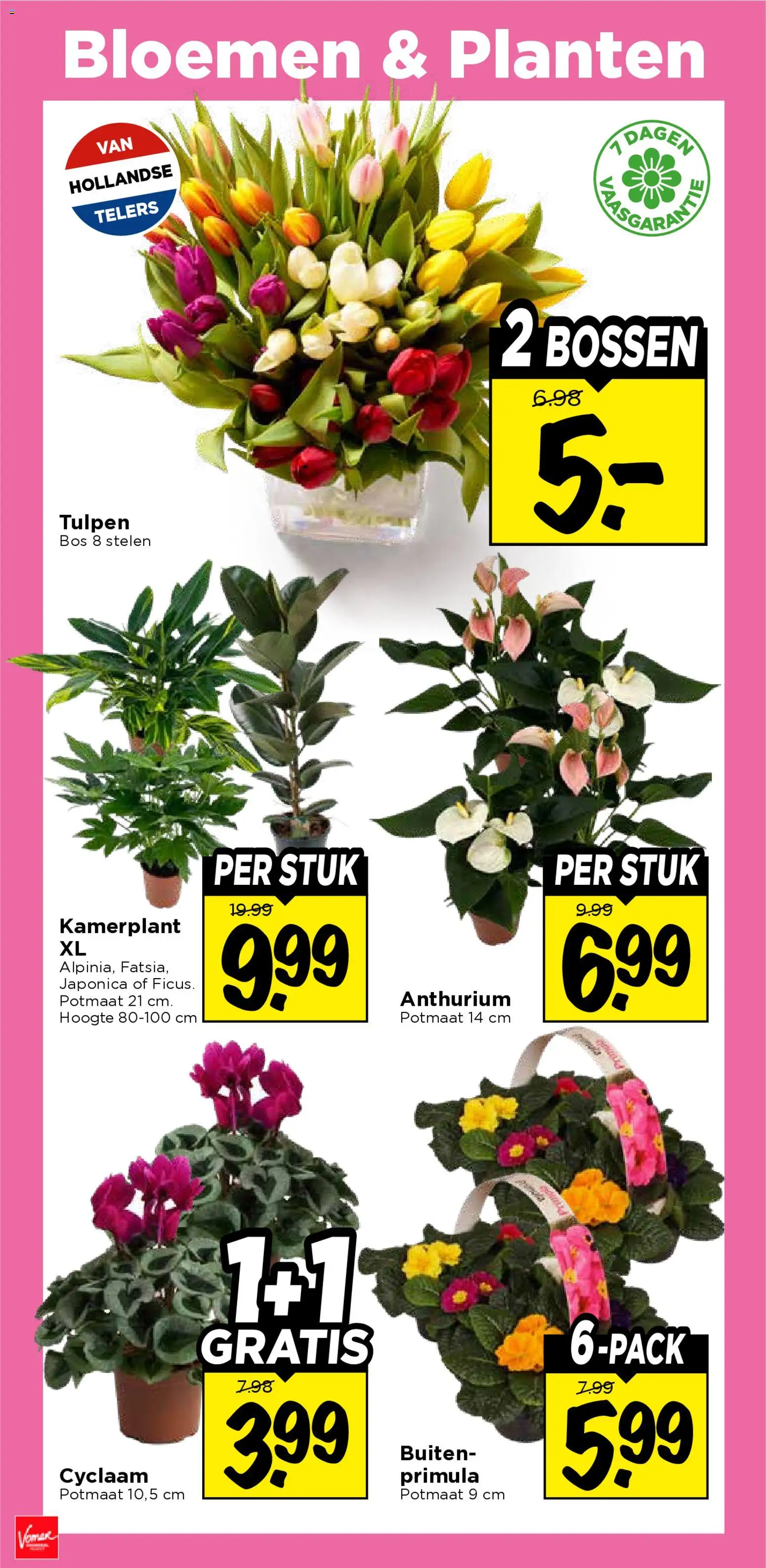 {H1} | Pagina: 32 | Producten: Bloemen