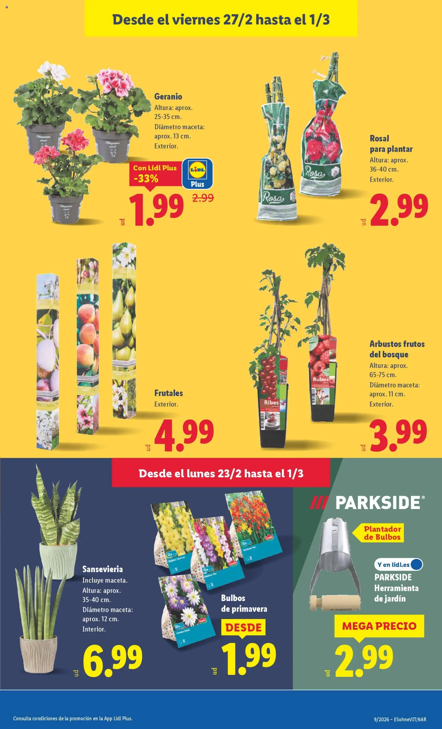 Lidl folleto │ válido desde el 23.02.2026 | Página: 37 | Productos: Maceta