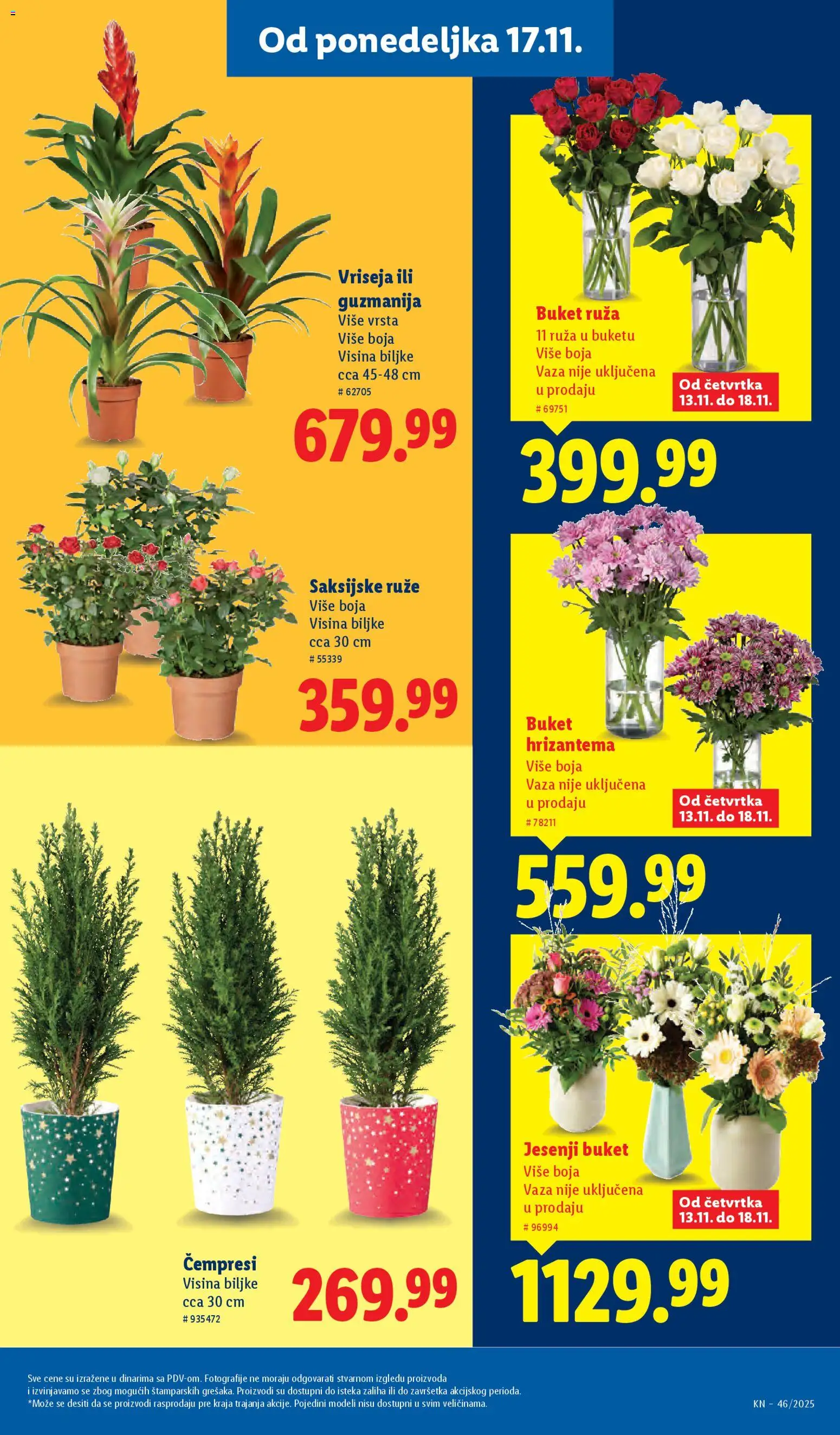 Lidl katalog - važi od 13.11.2025 | Strana: 43 | Proizvode: Vaza, Hrizantema, Ruze
