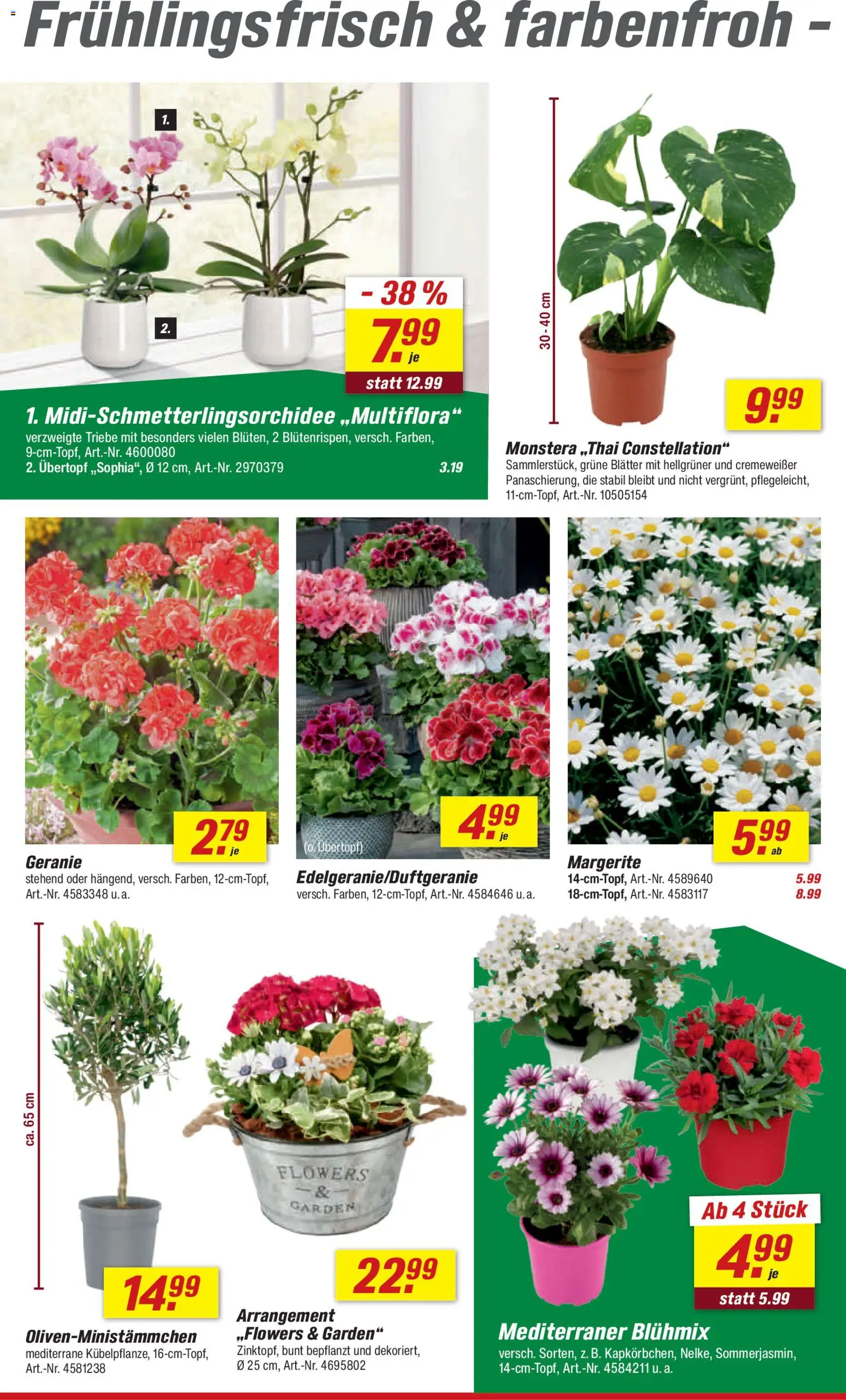 Toom Baumarkt Prospekt 	 – gültig ab 04.04.2026 | Seite: 8