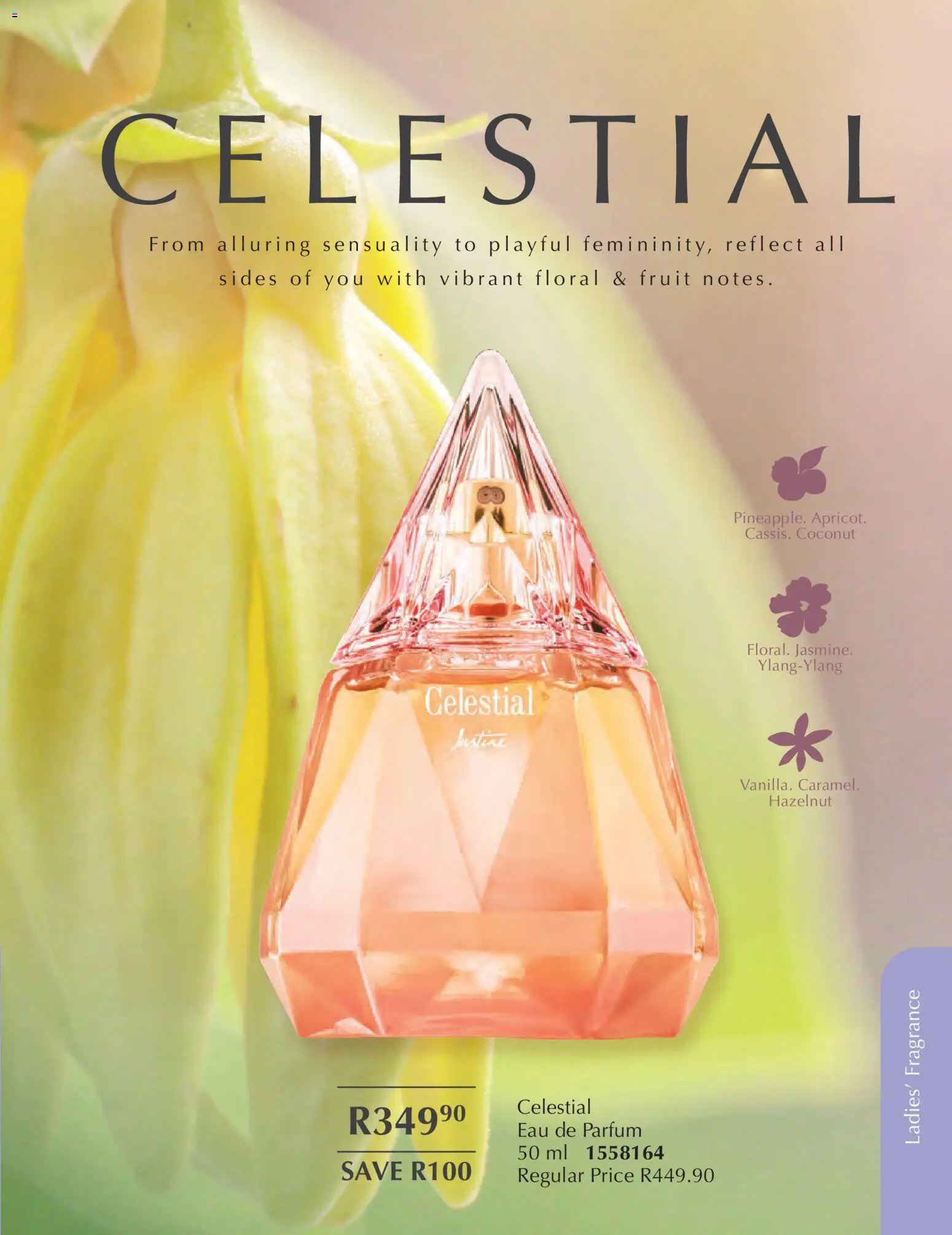 New Justine catalogue – valid from 01.02.2026 | Page: 53